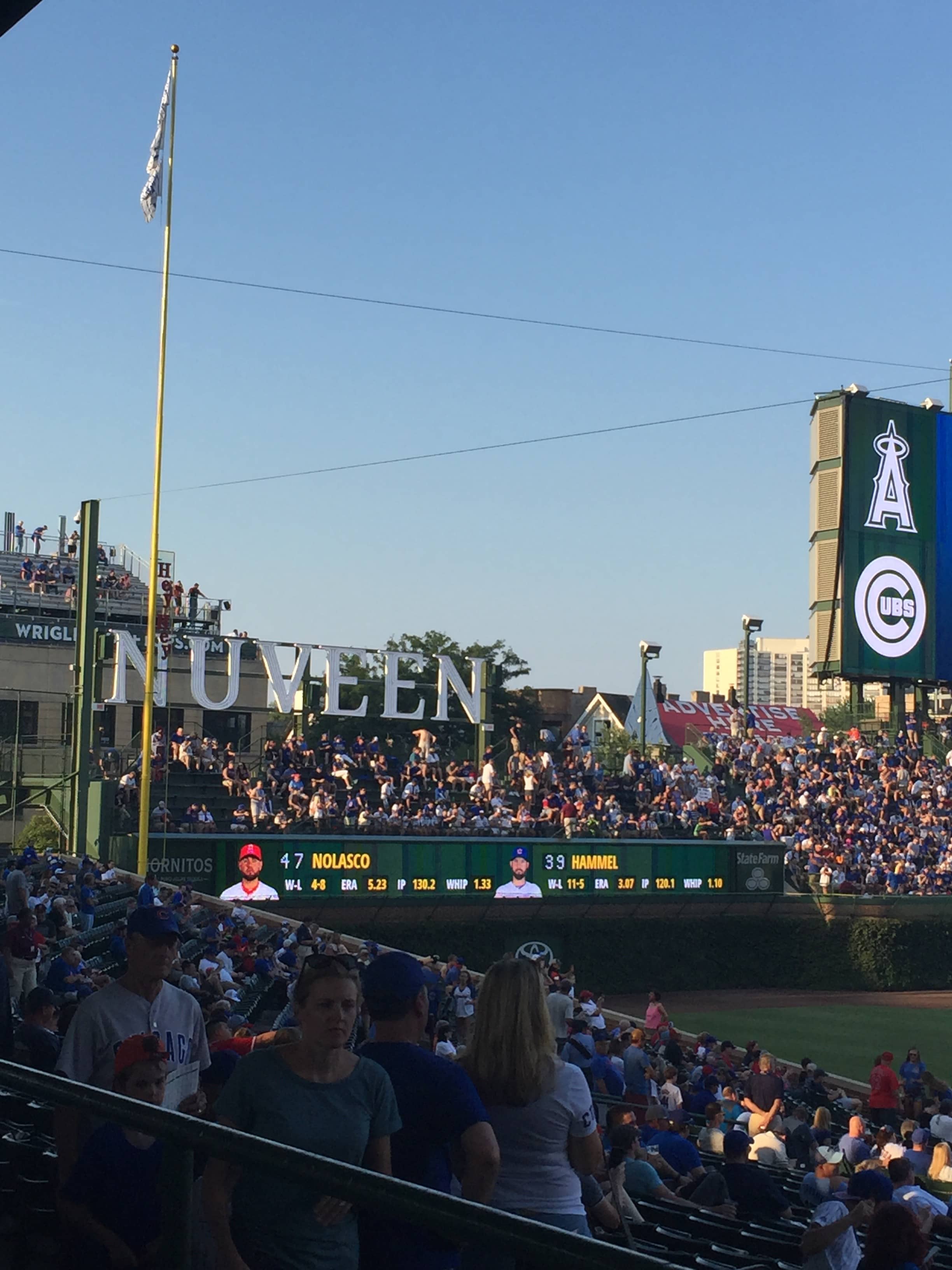 Bleacher Bums Experience