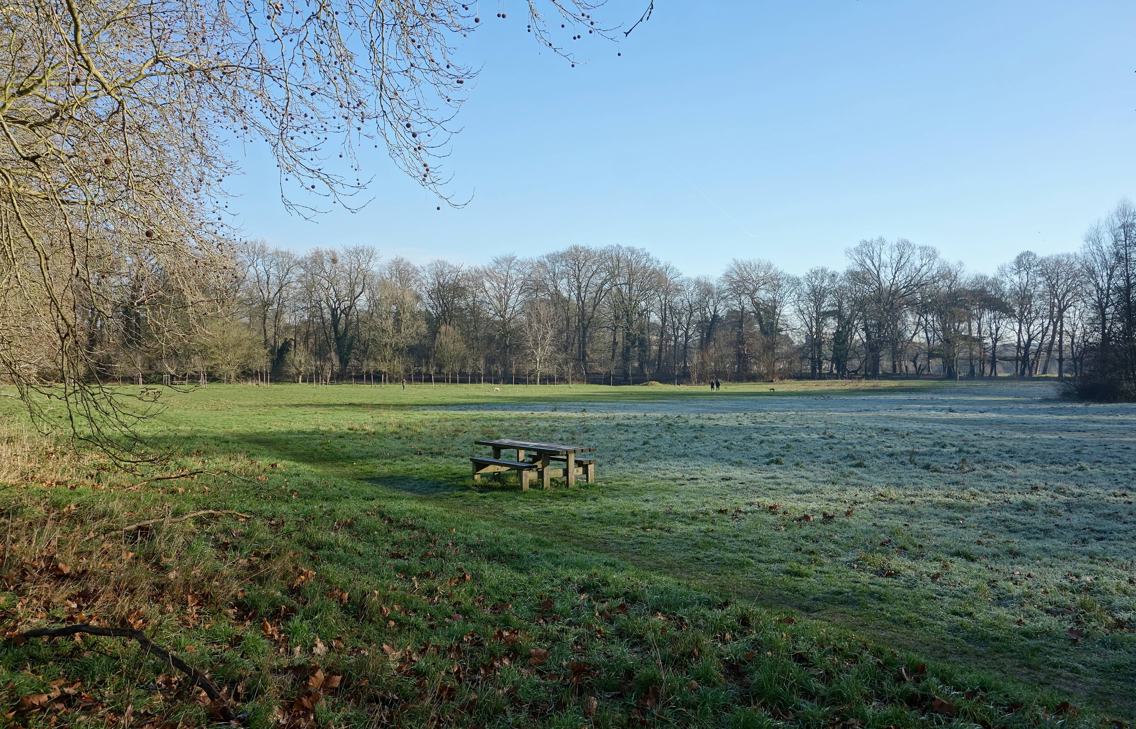 Expansive Public Park