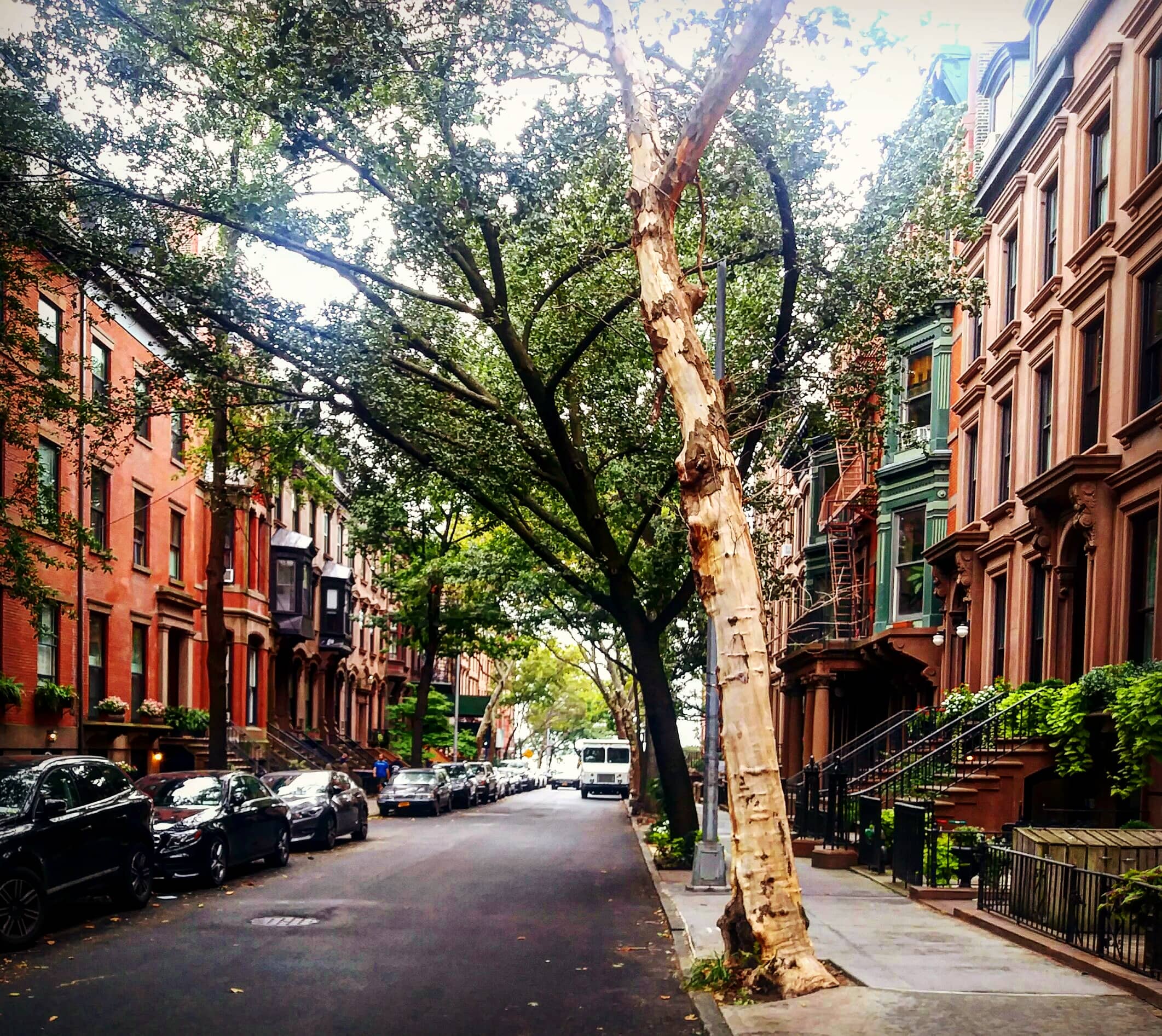 Charming Brownstone Streets