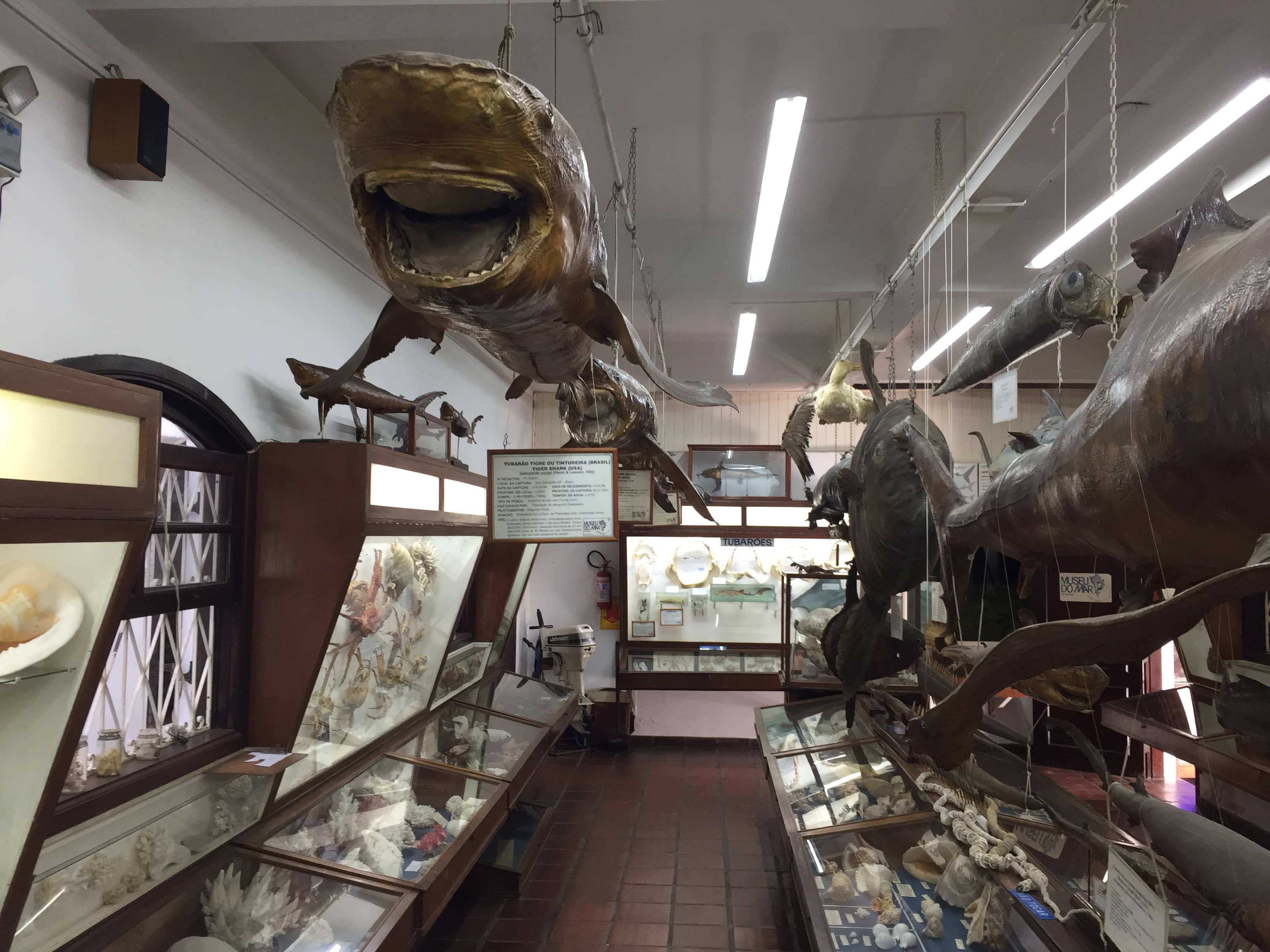 Oceanic History Exhibits