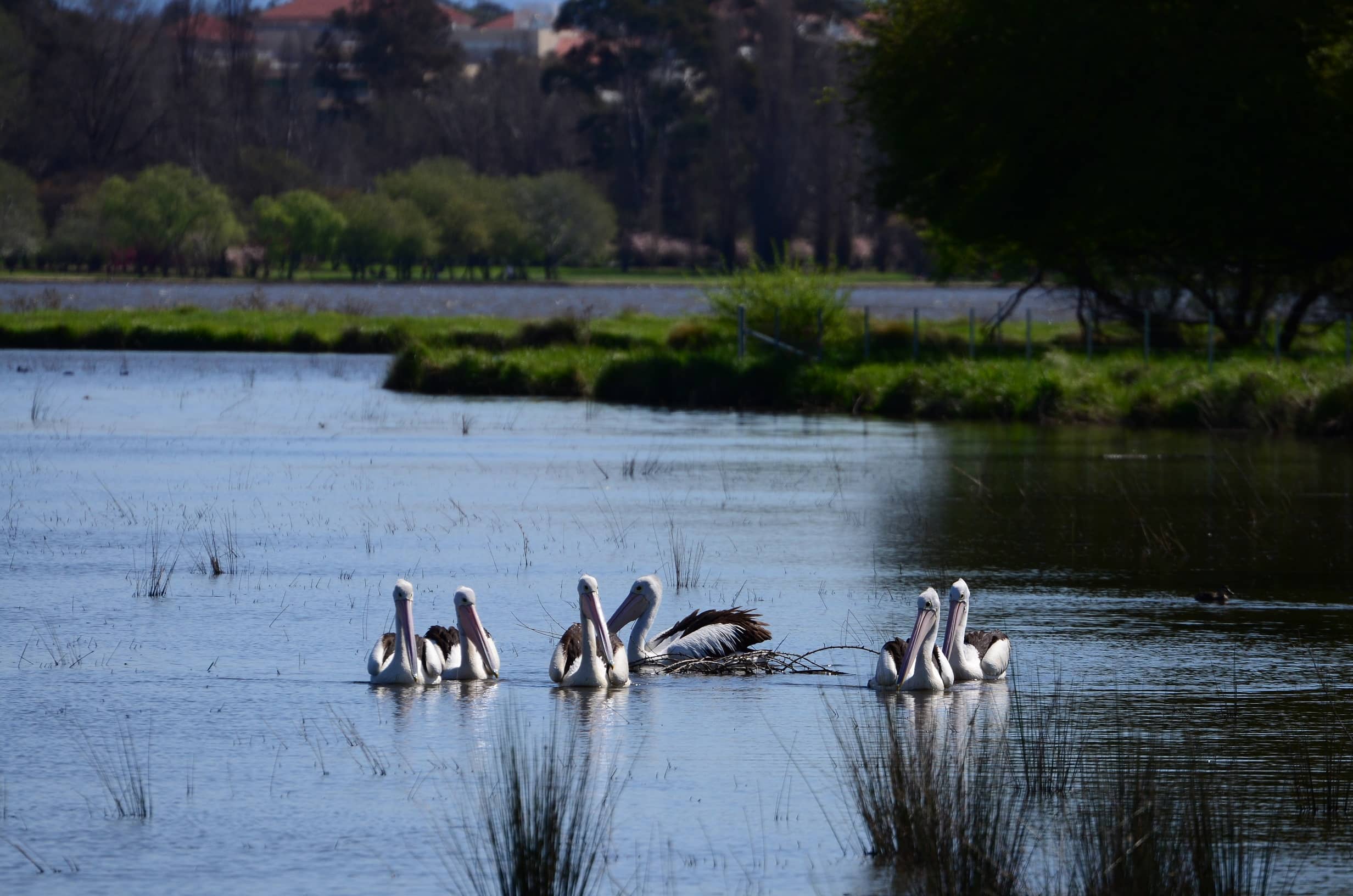 Picnic Areas