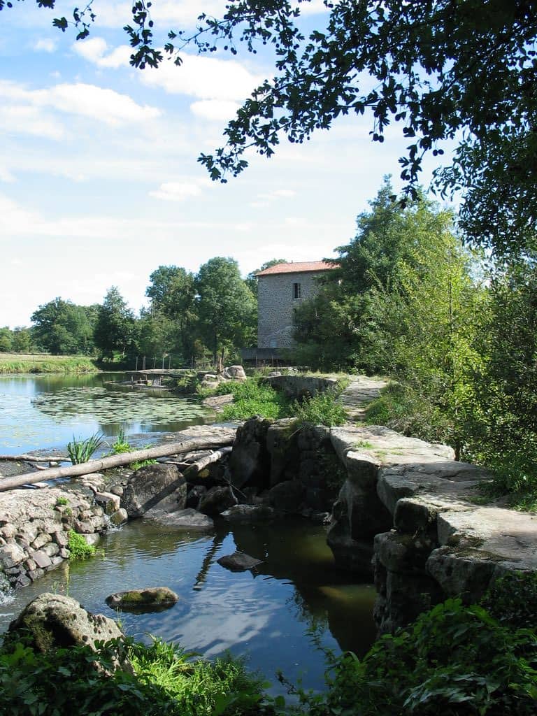 Sèvre Nantaise River Banks
