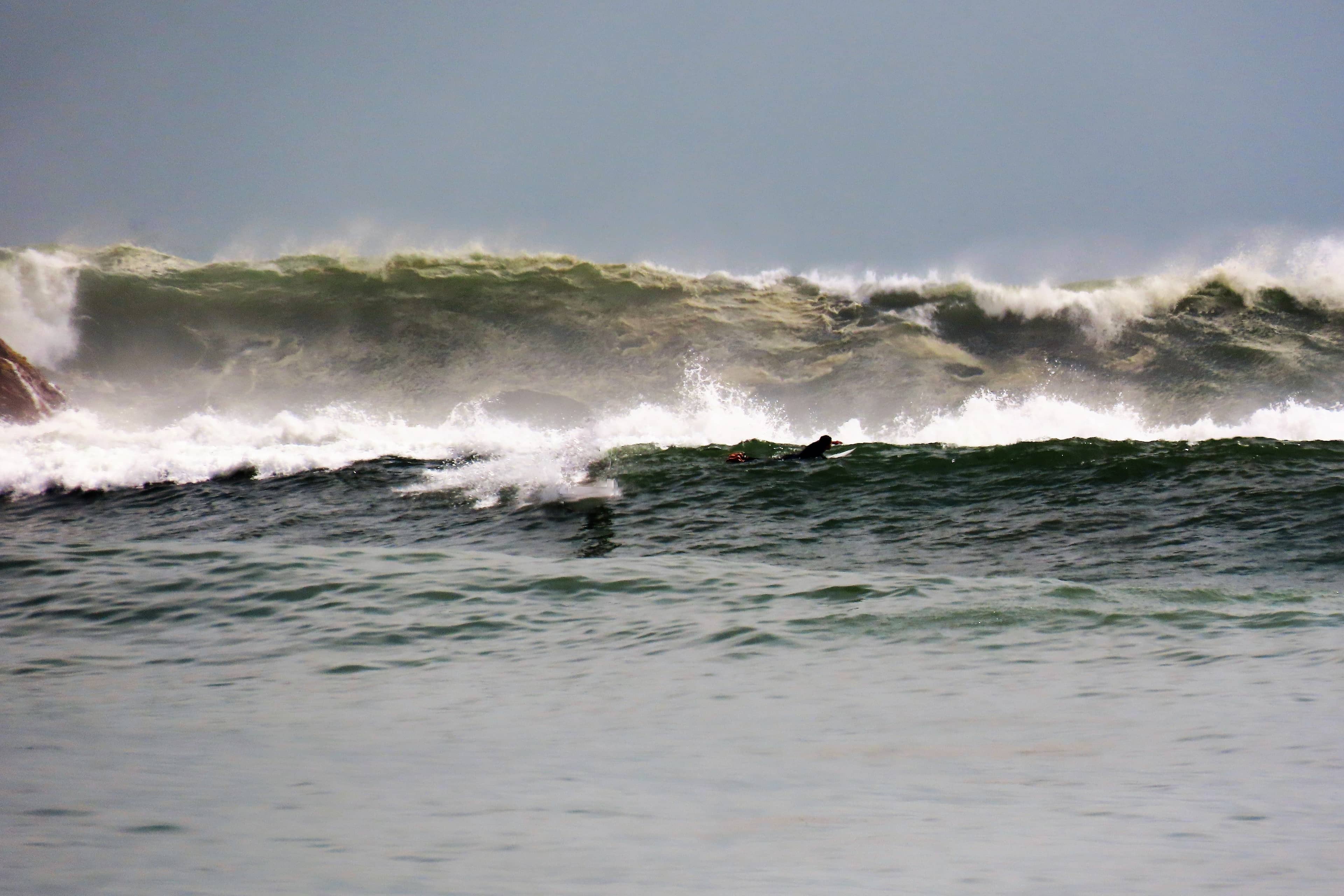 Surfing Paradise