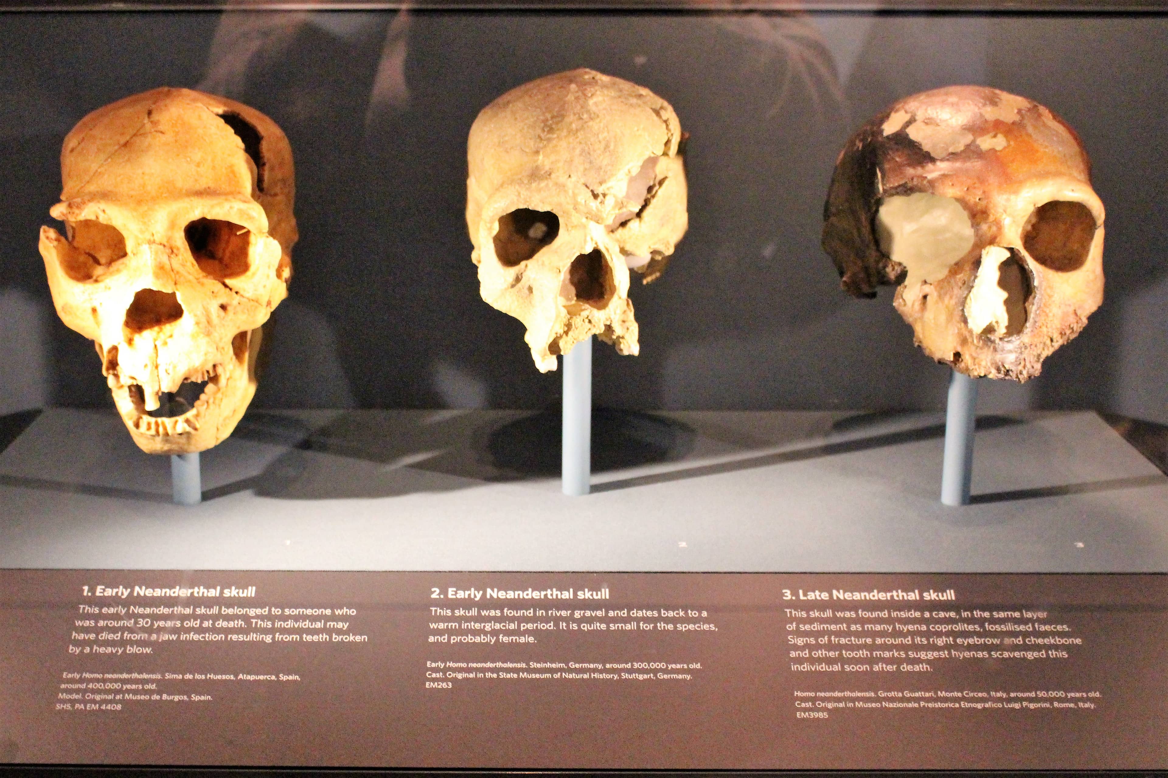 Earth & Human History