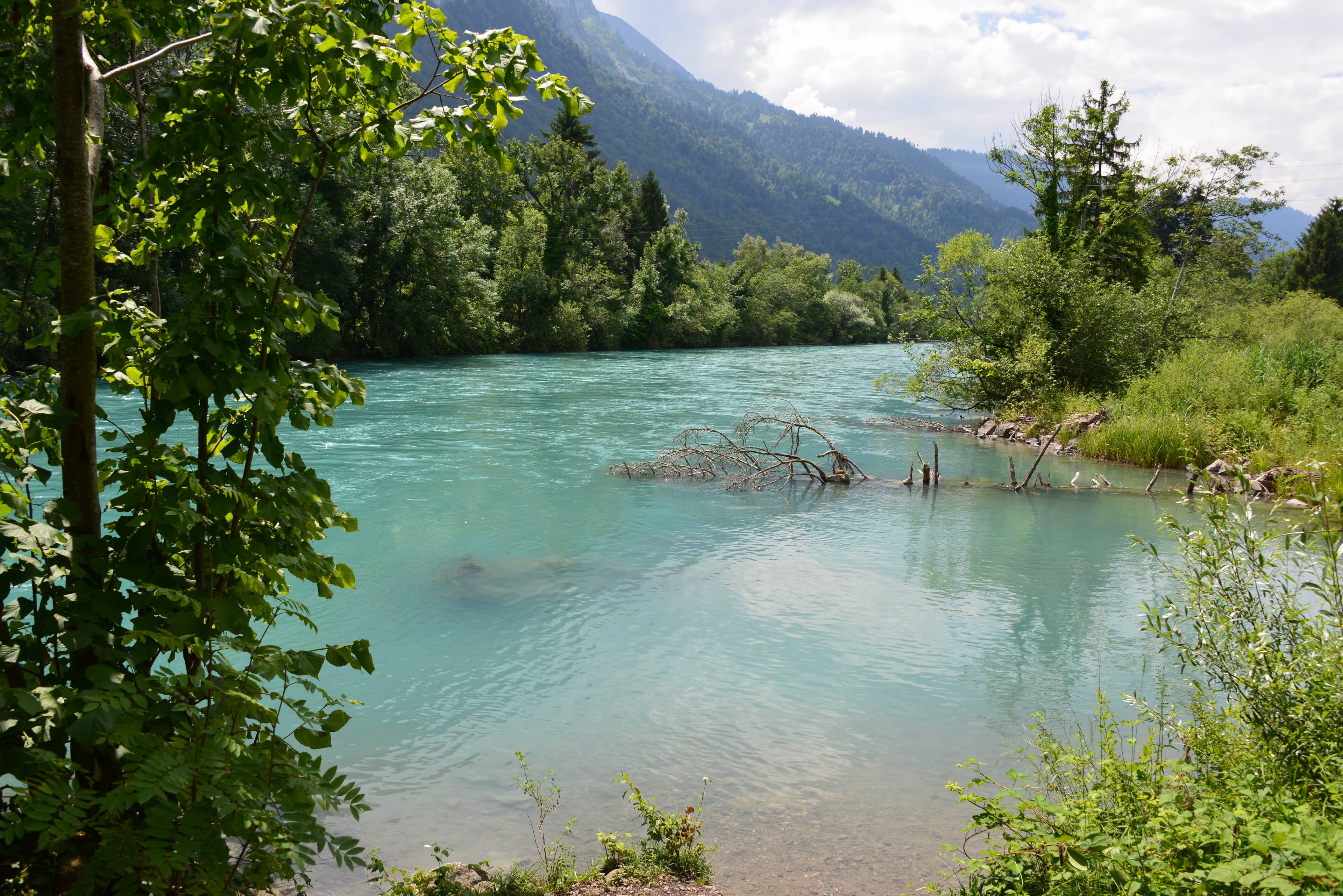 Lake Thun Shoreline