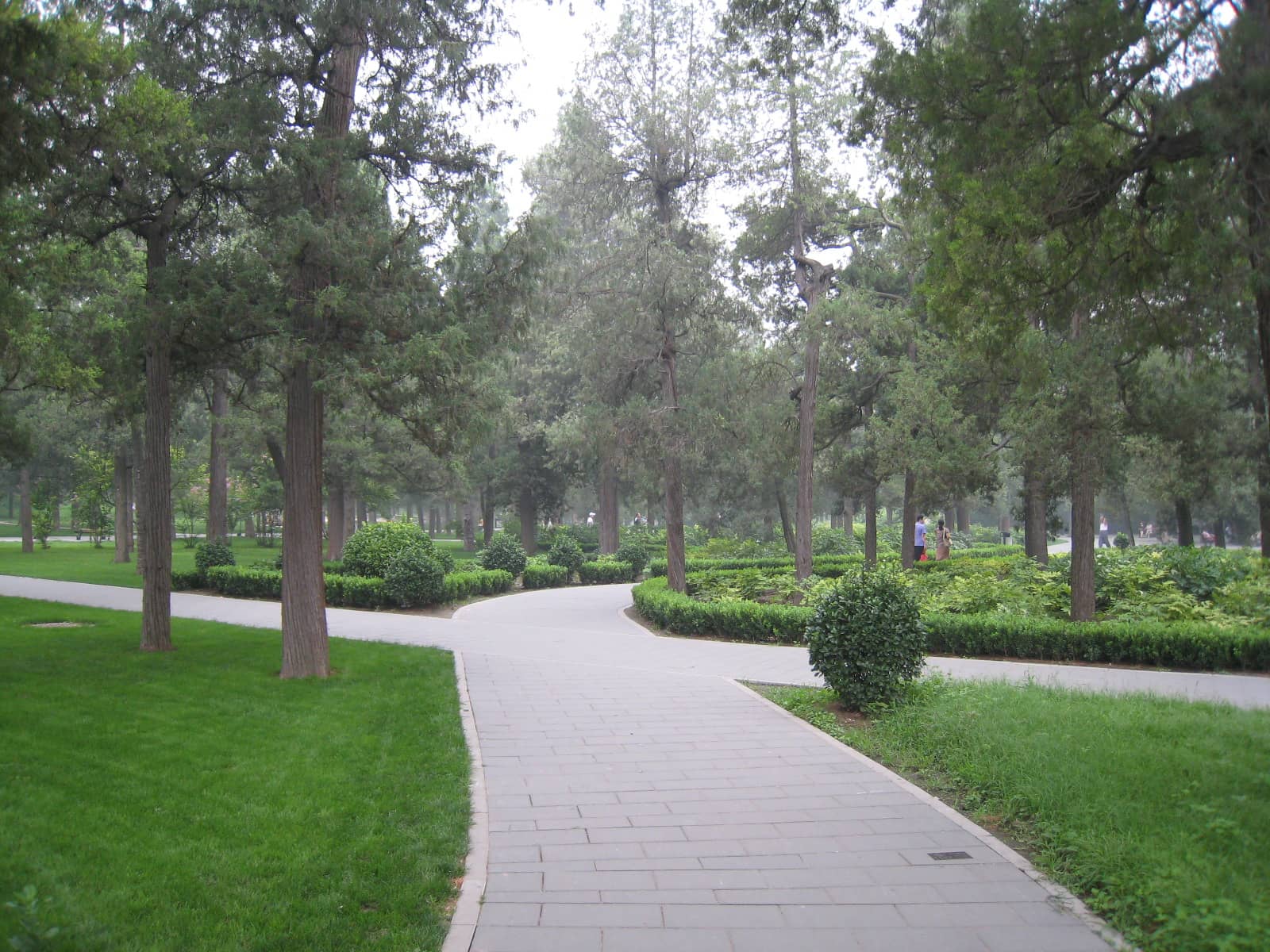 Serene Hillside Paths