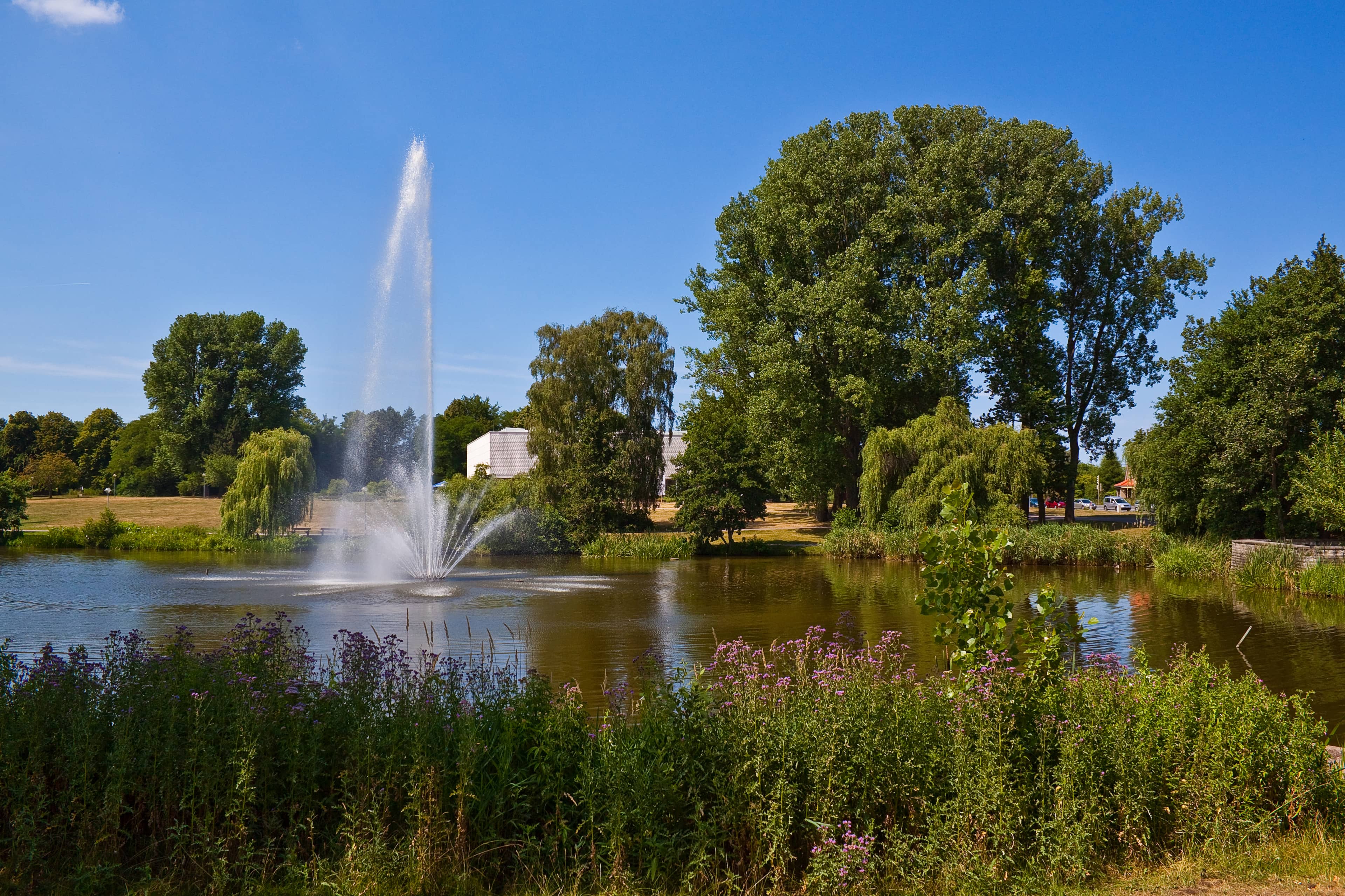 Art Gallery & Water Features
