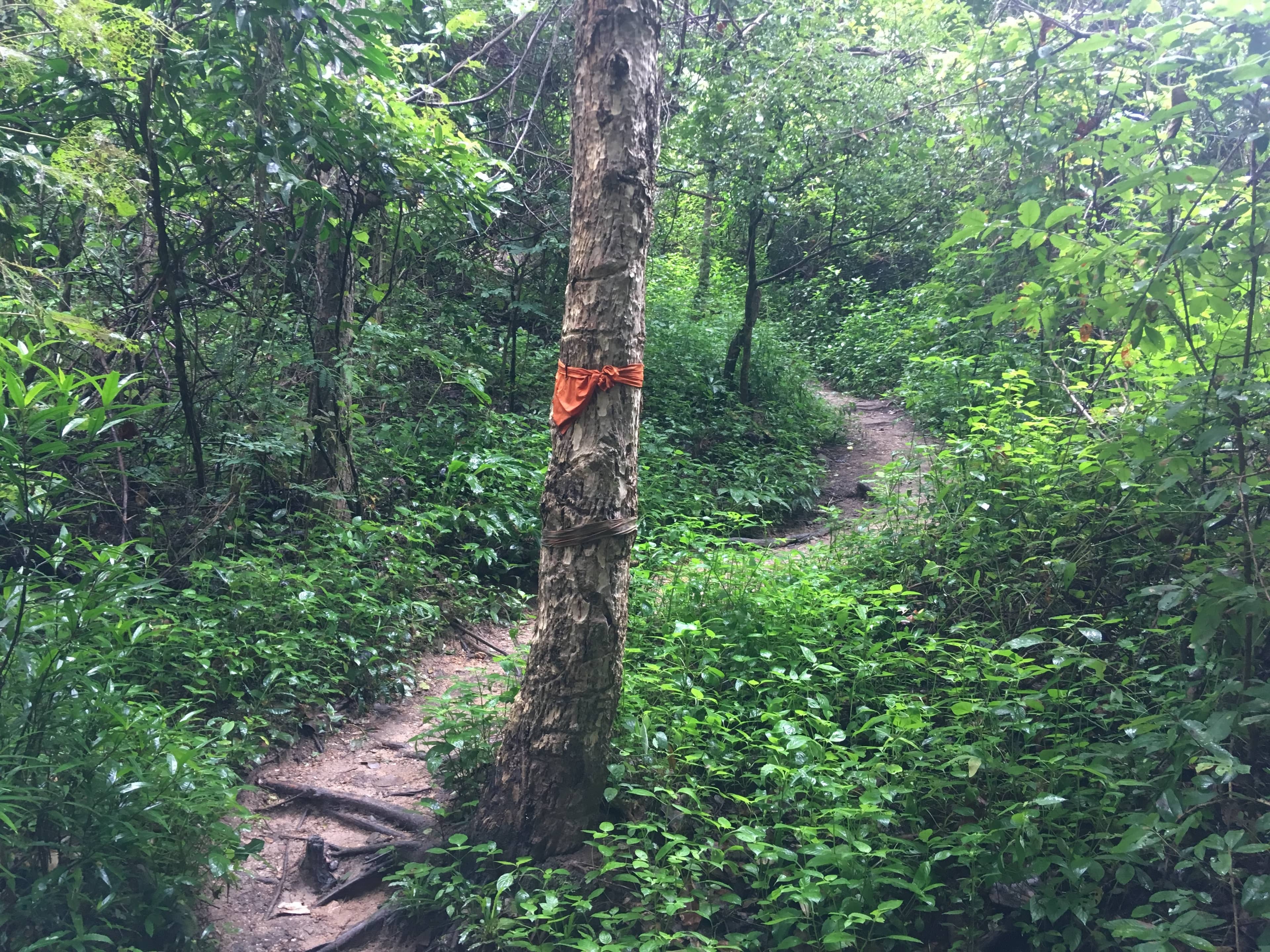 The Monk's Trail