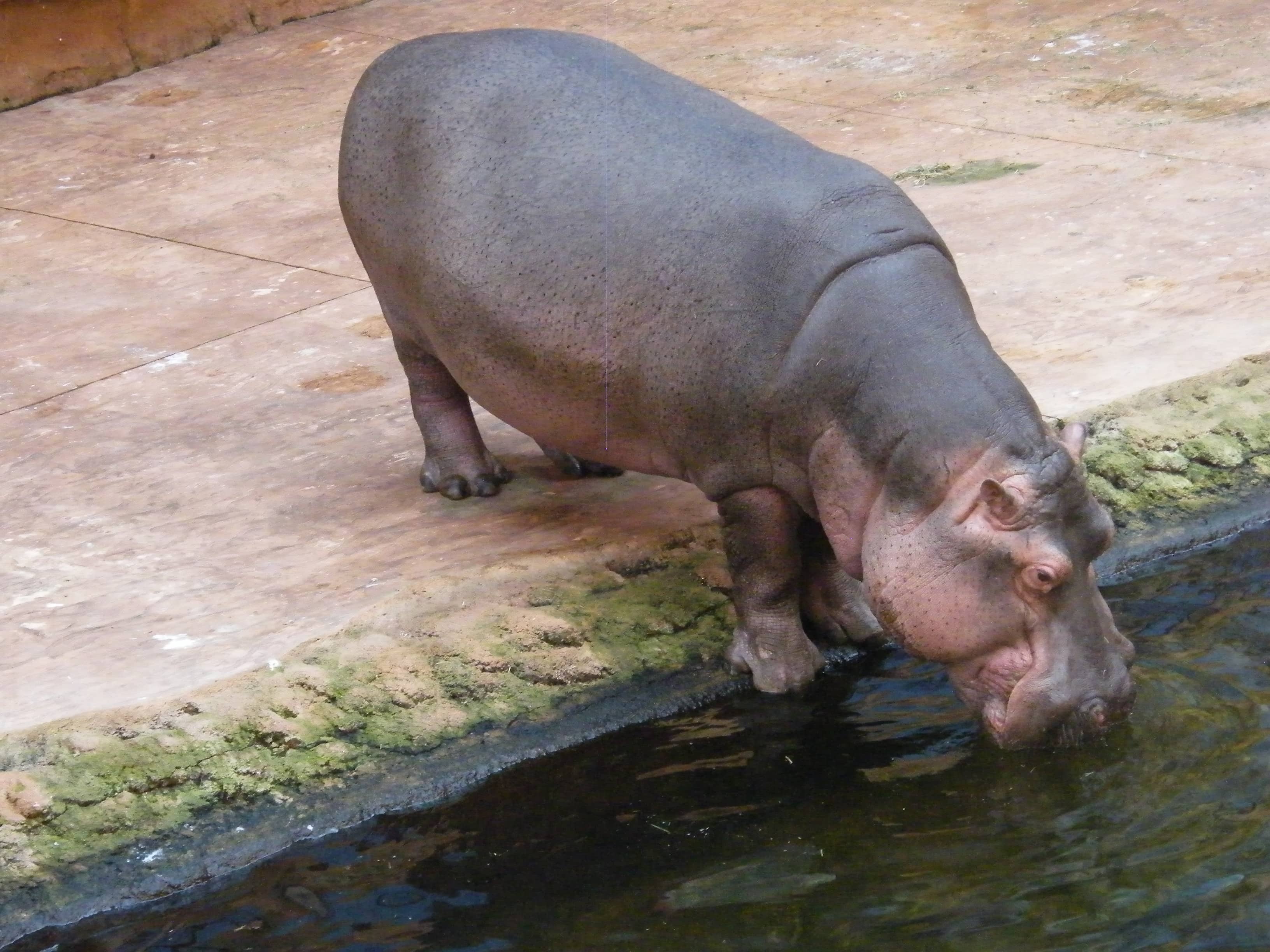 Oceanarium