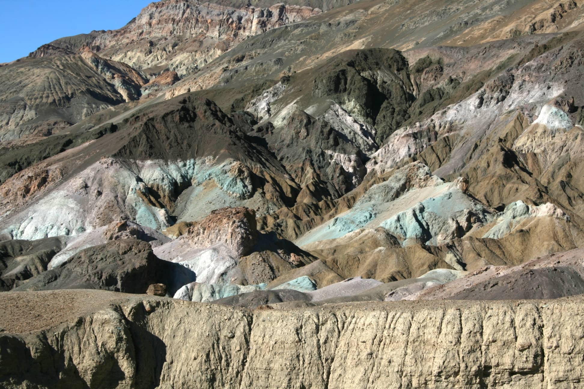Artist's Palette