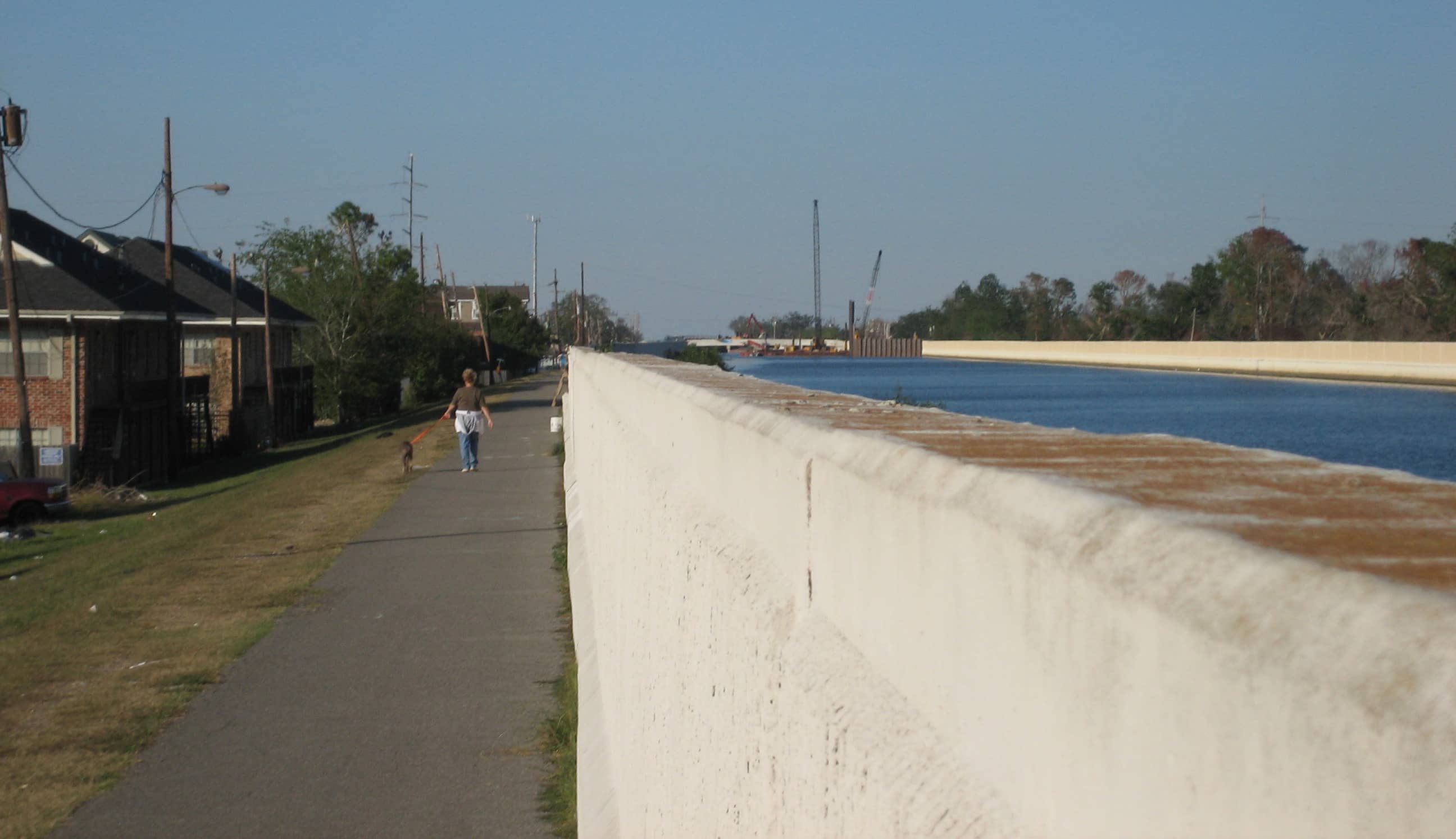 Tranquil Walking Paths