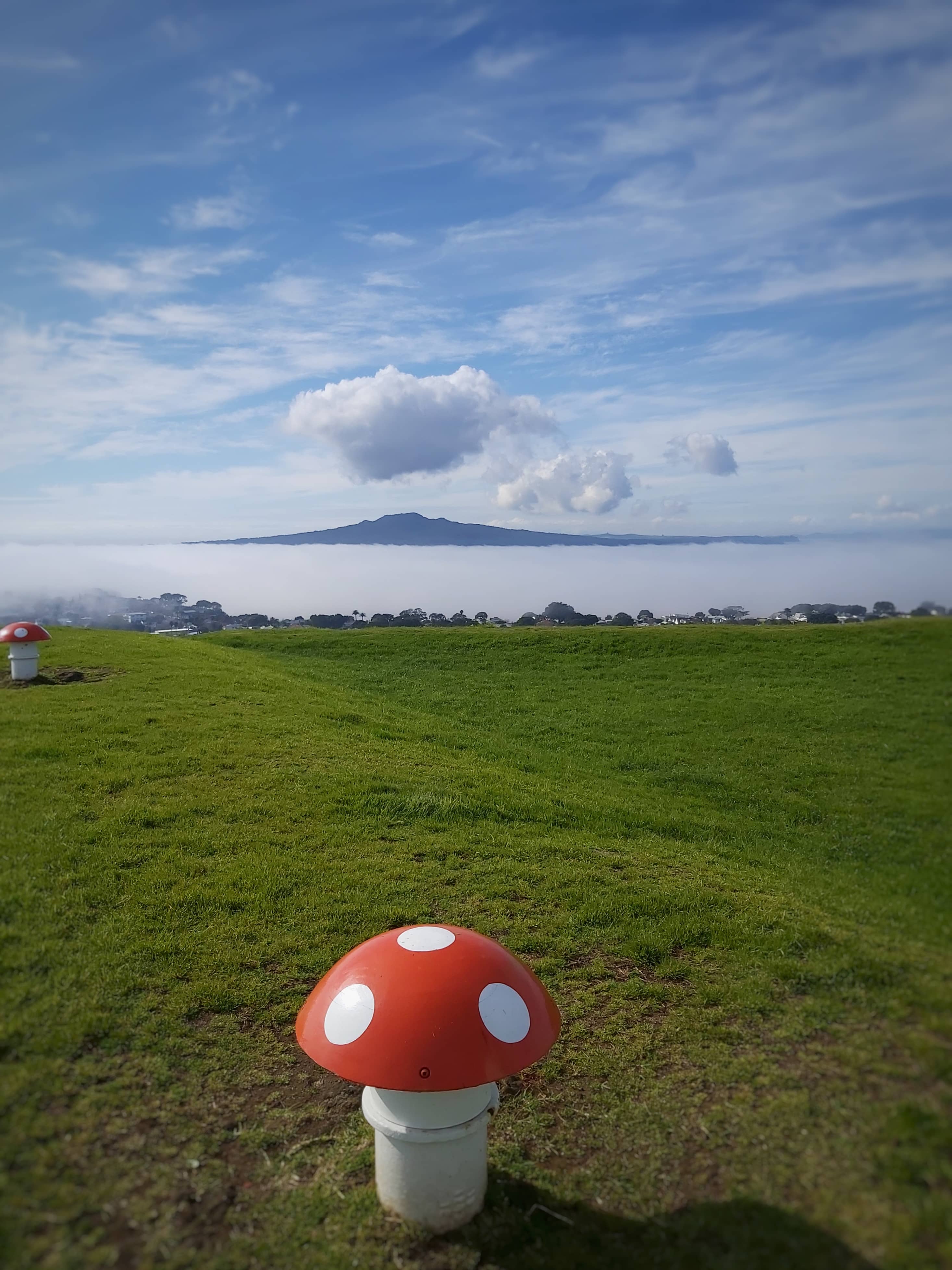 Whimsical 'Mushroom' Vents