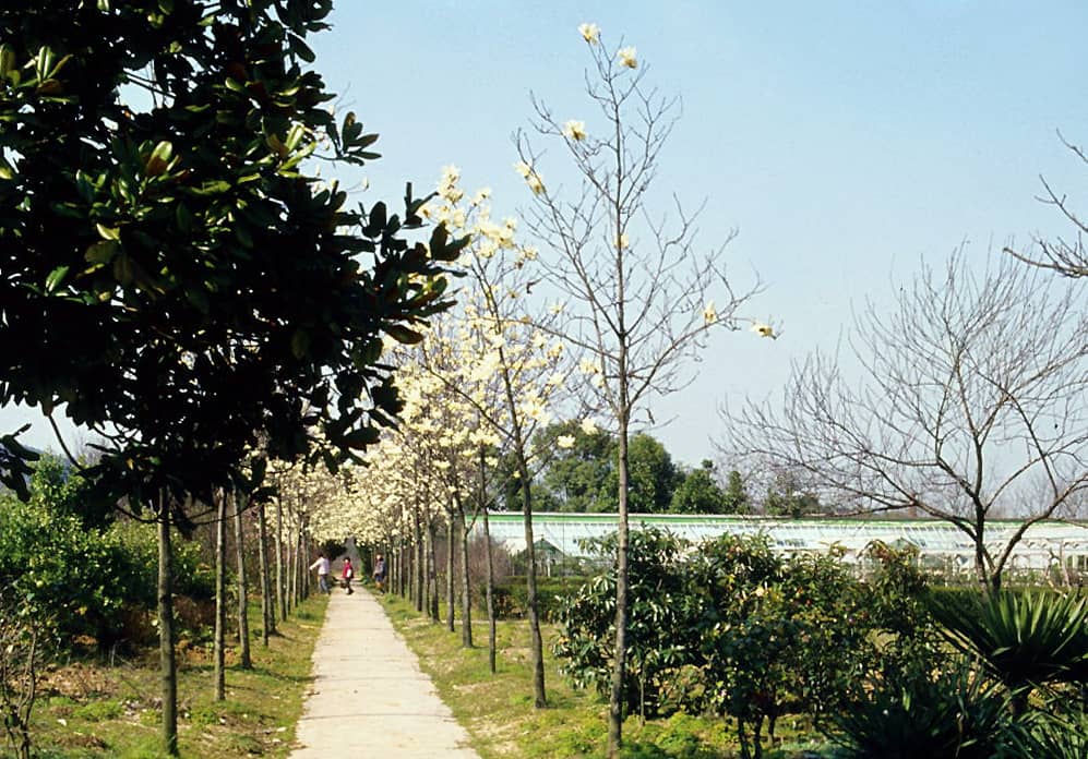Expansive Pathways