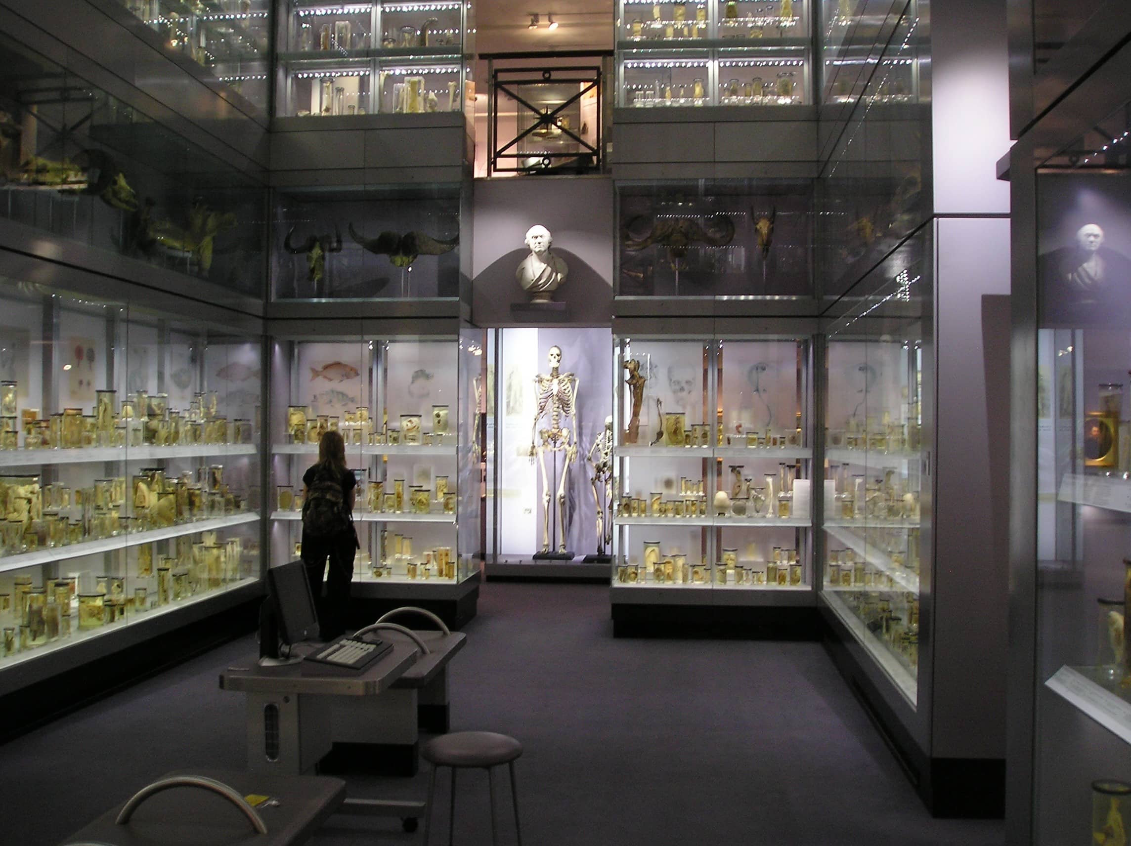 Eclectic Permanent Collections