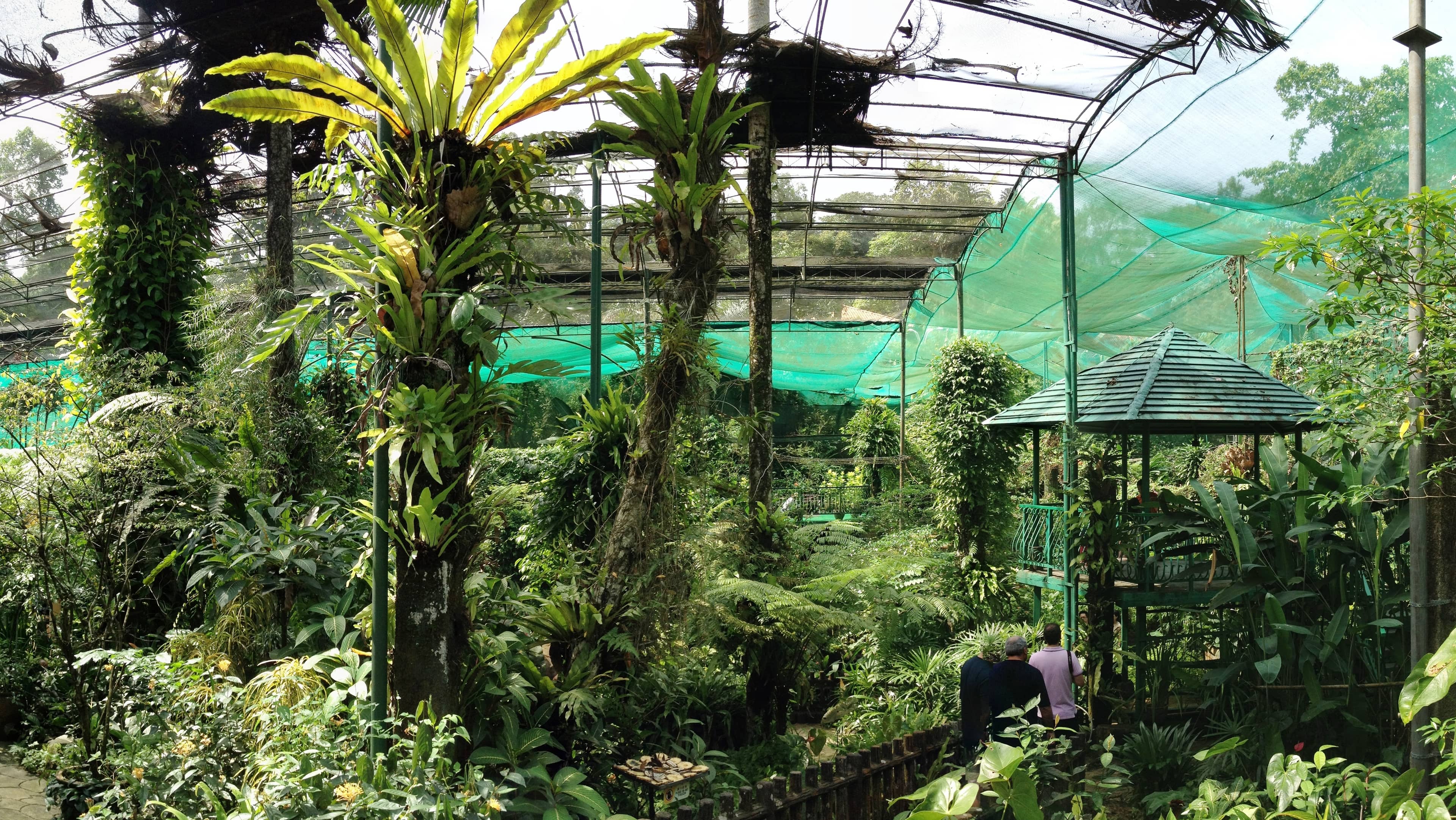 Exotic Insect Displays