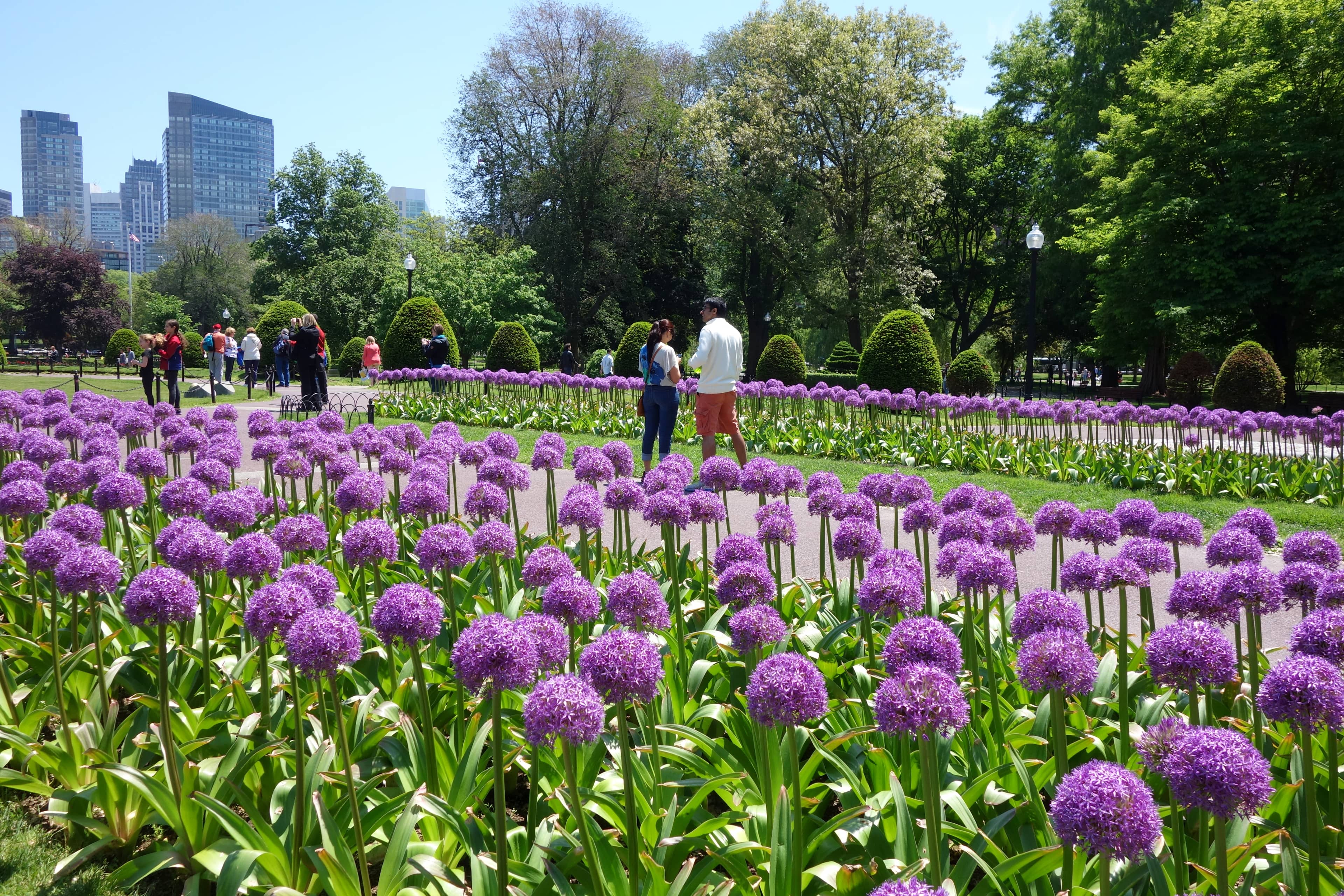 Floral Displays