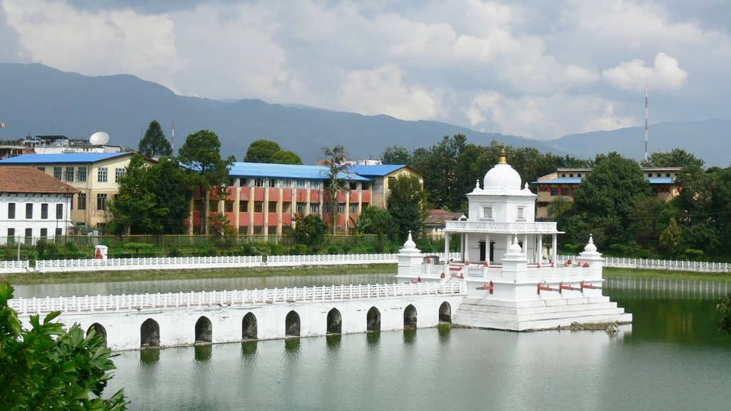 The Renovated Pond and Gardens