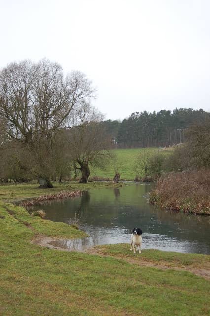 River Coln Stroll