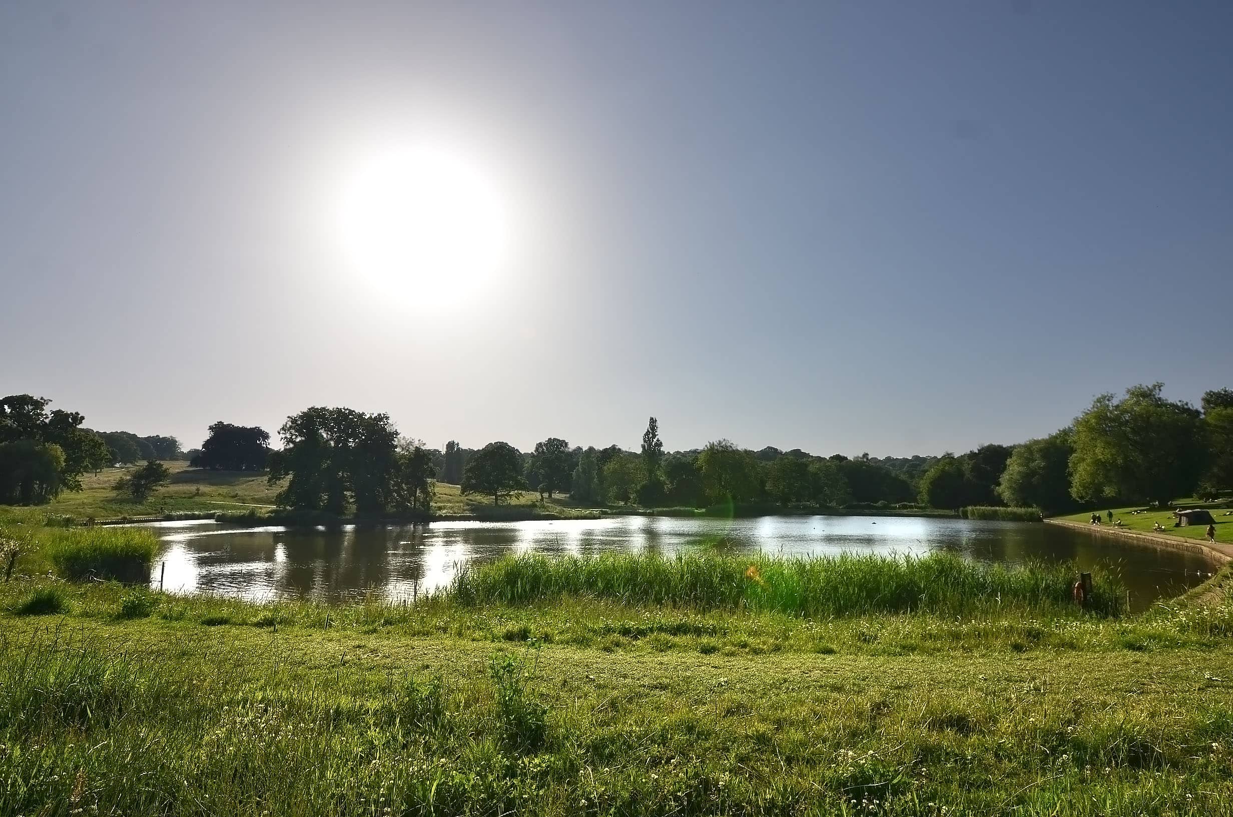 Swimming Ponds