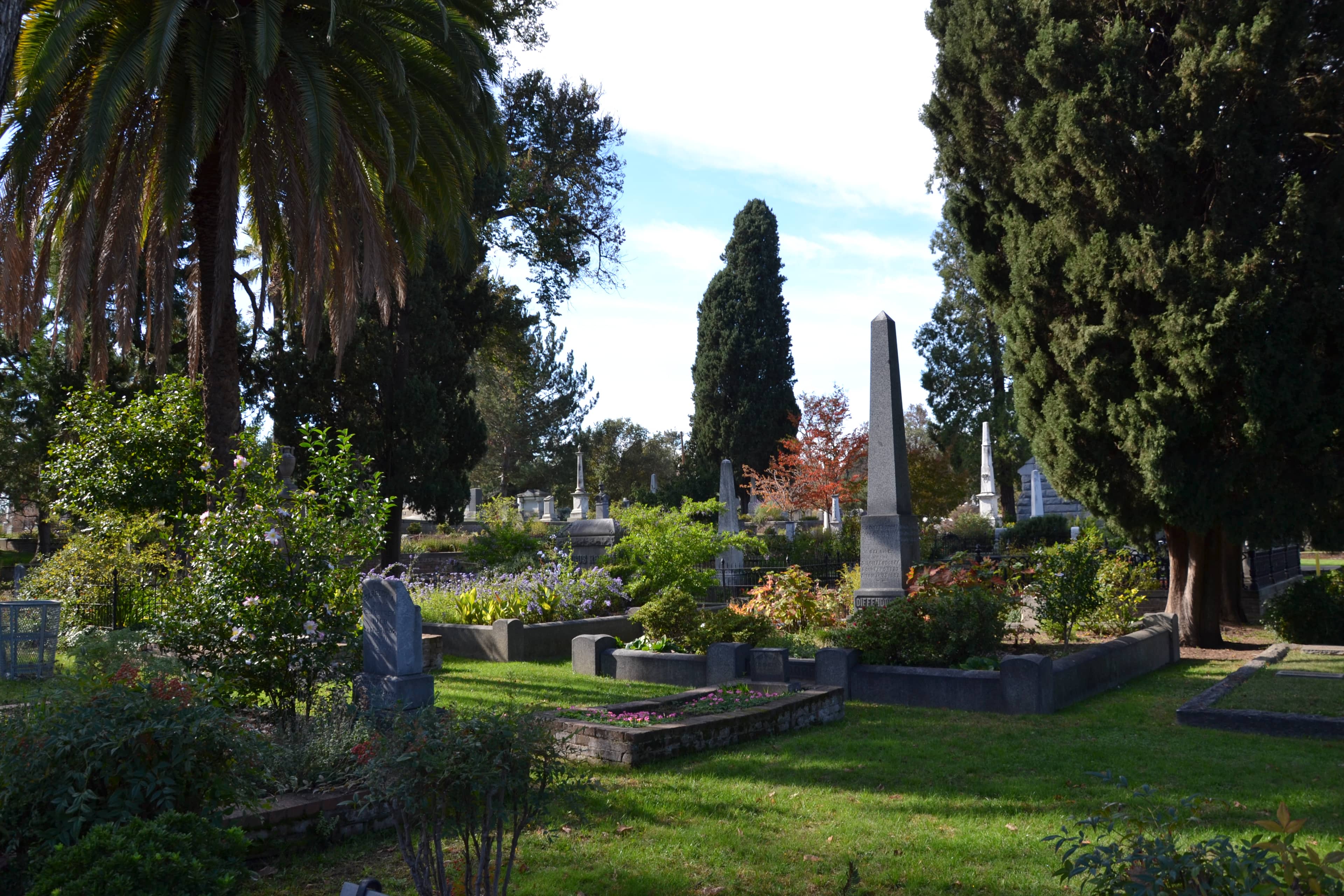 Lush Gardens and Landscaping