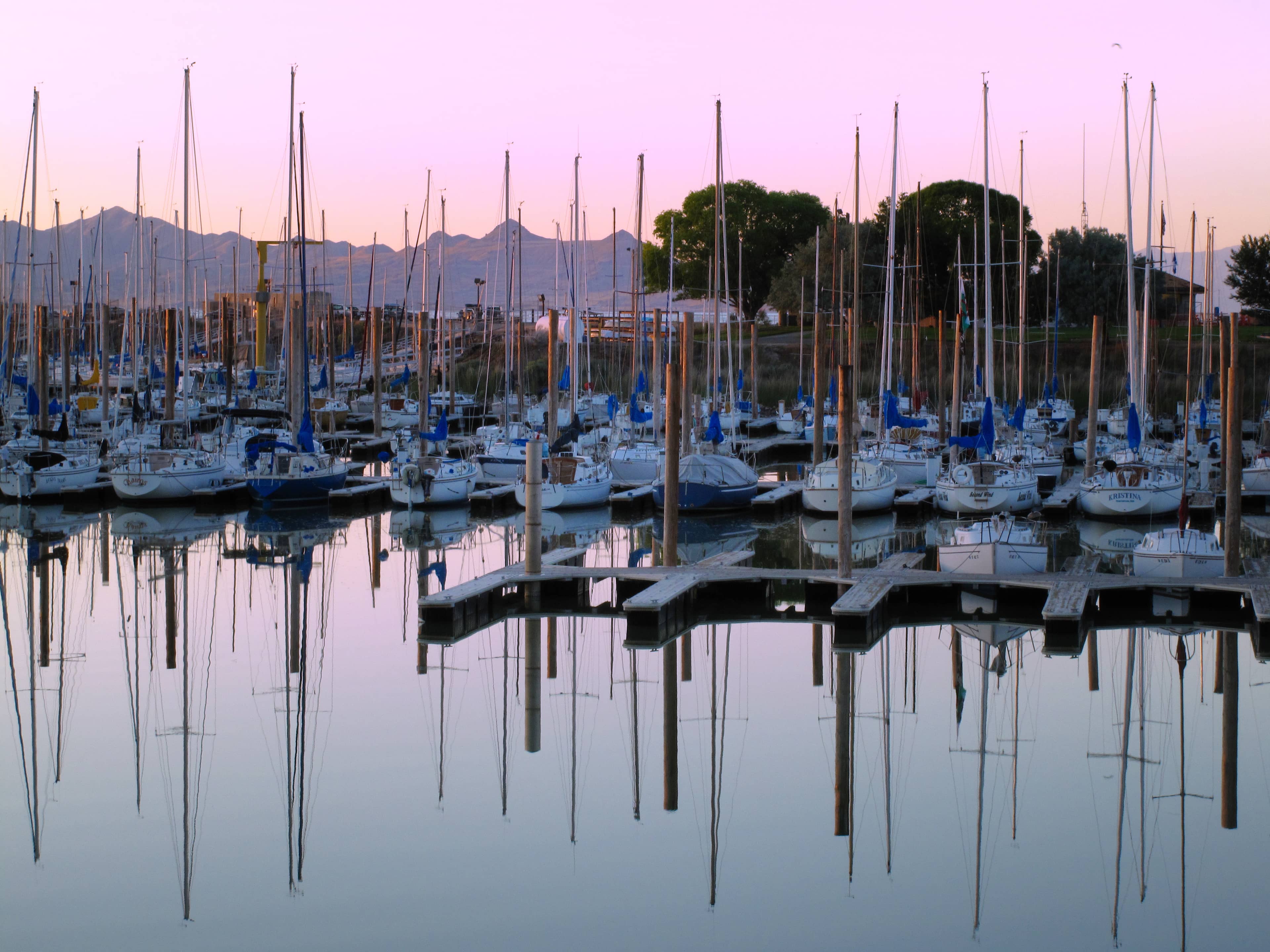 The Marina Serenity