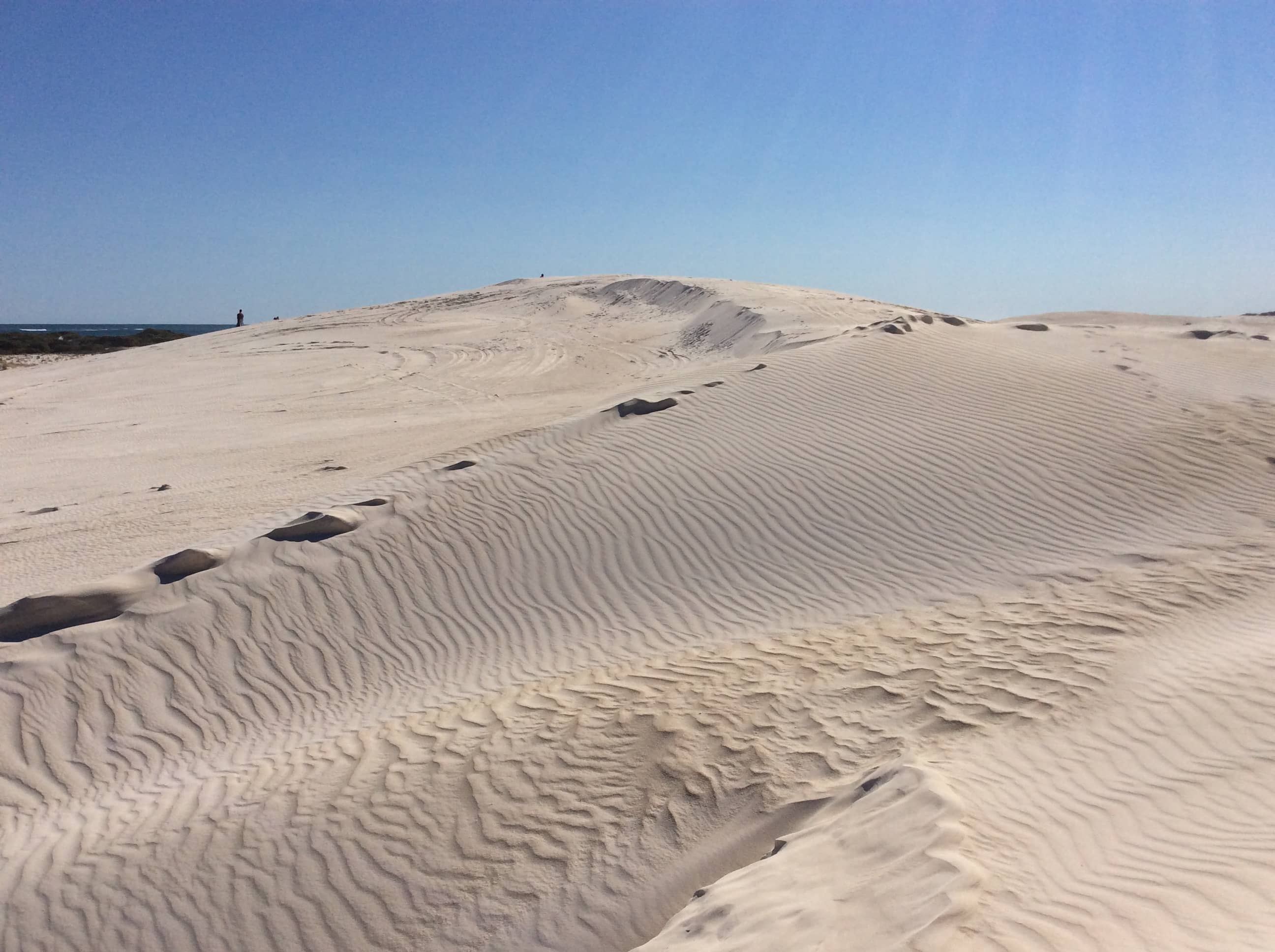 Scenic Dune Views