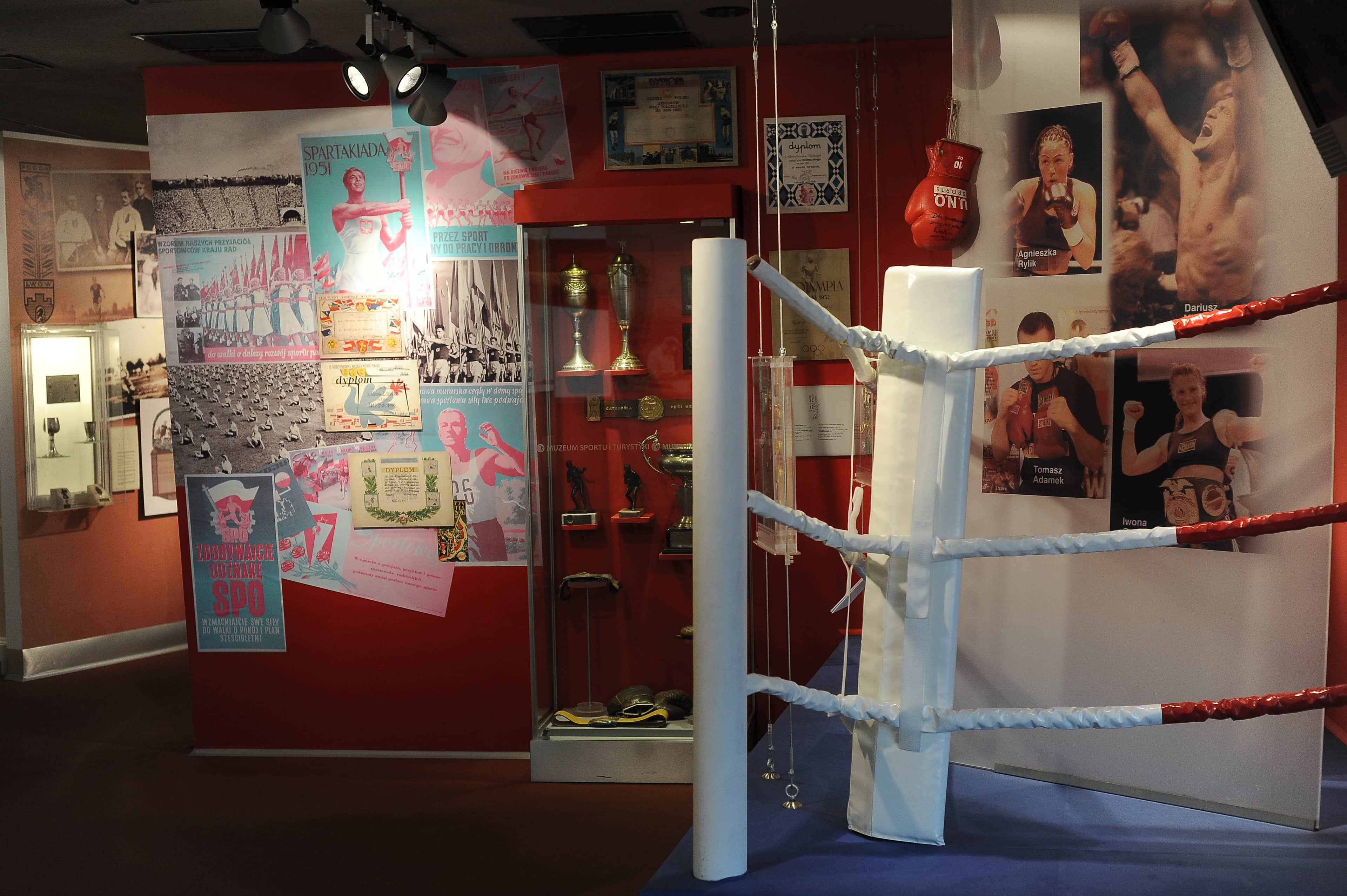 Interactive Boxing Ring