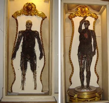 Anatomical Machines
