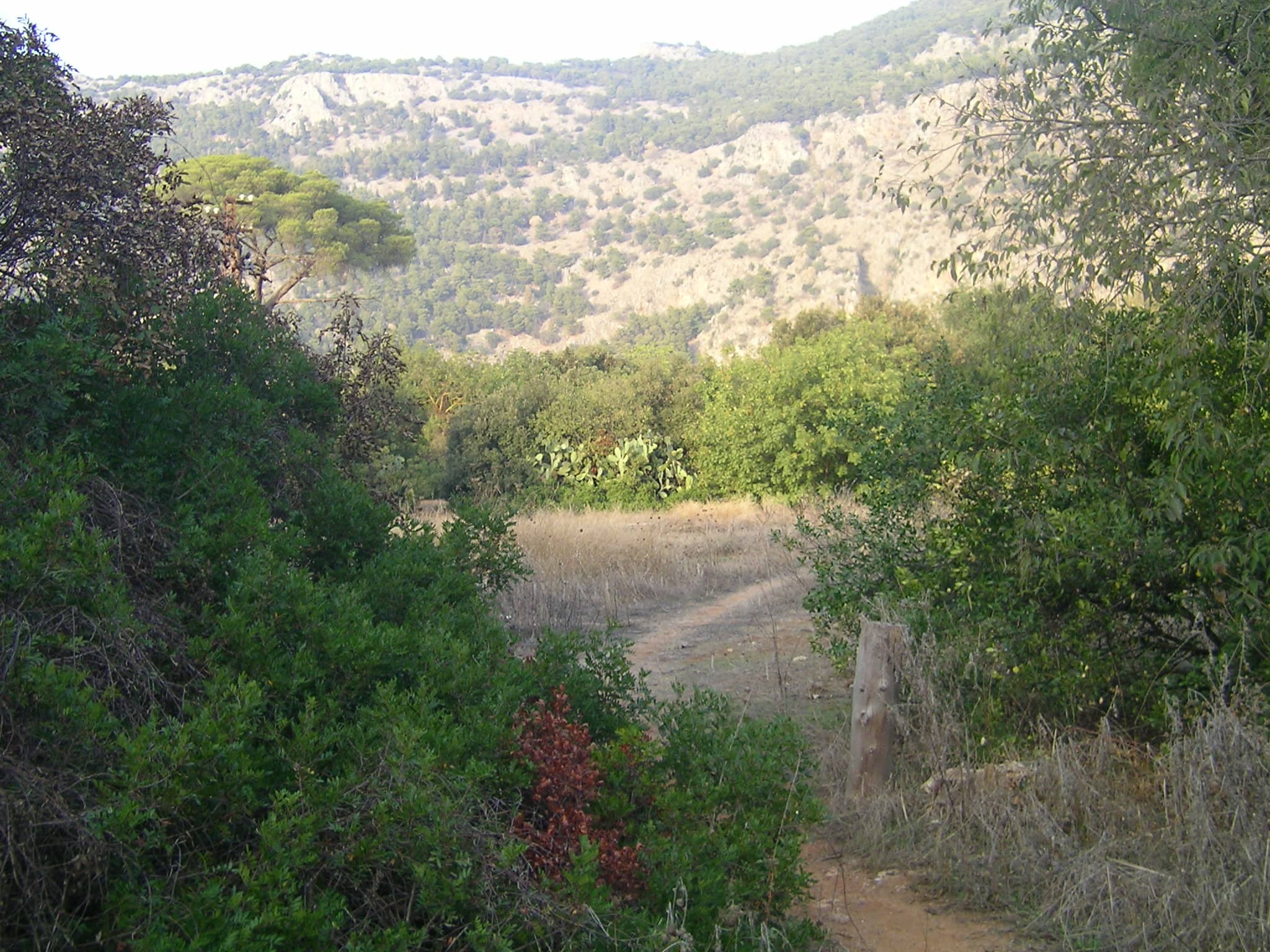 Monte Pellegrino Trails
