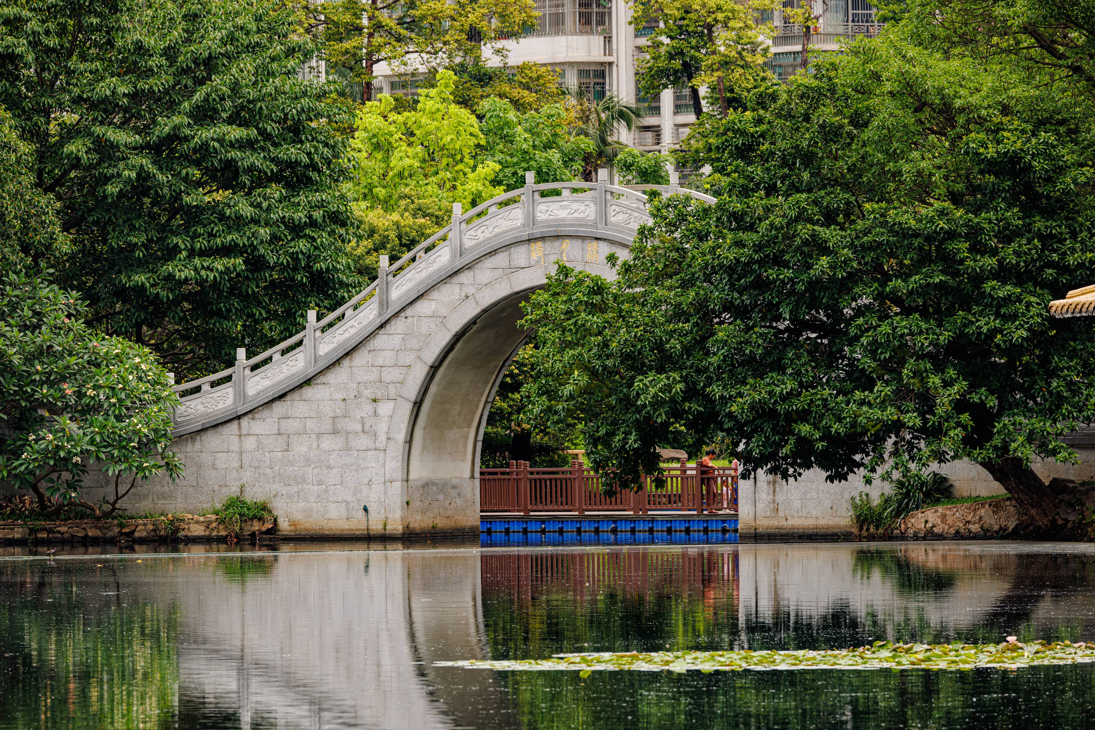 Serene Lake and Bridges