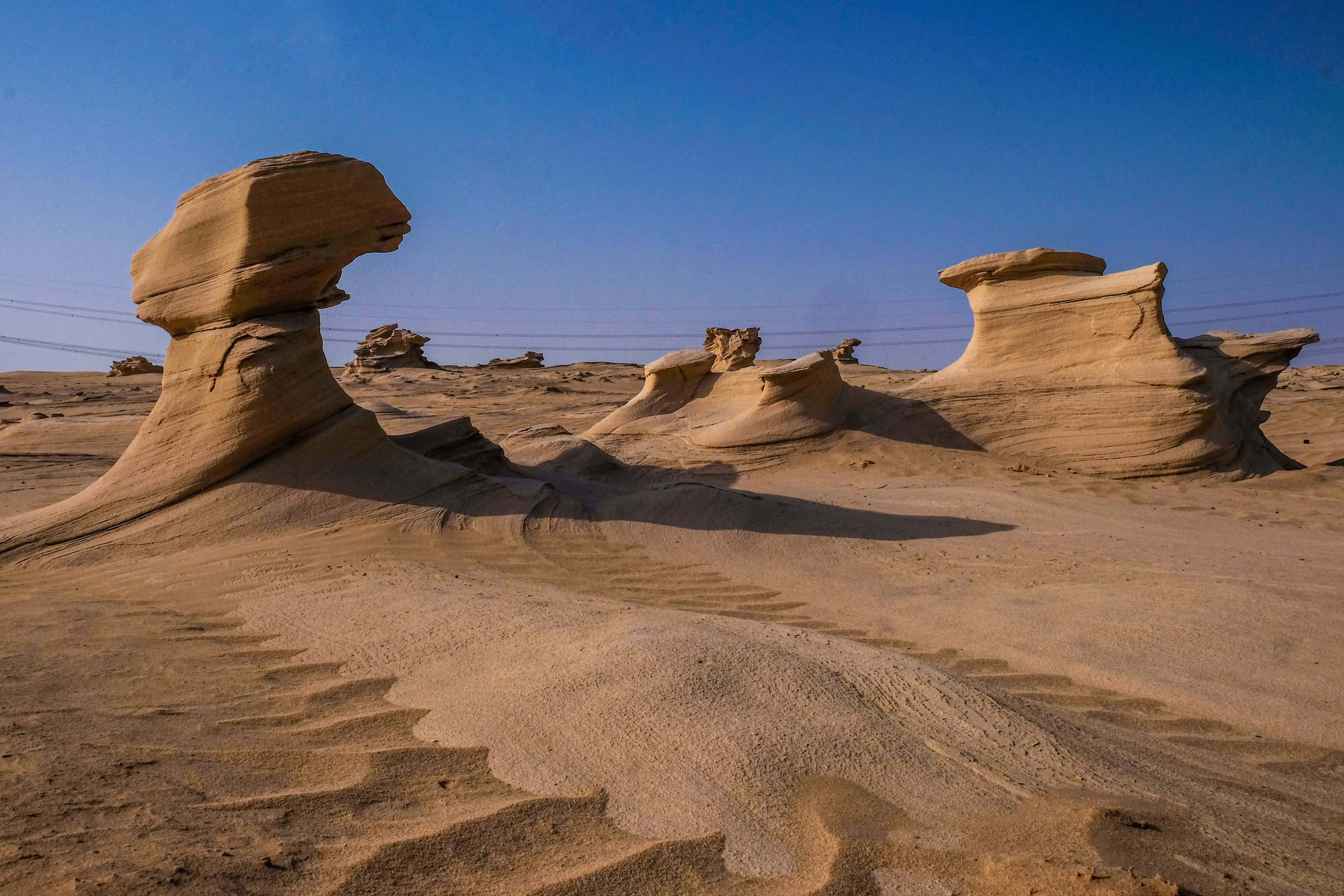 Fossil Dunes
