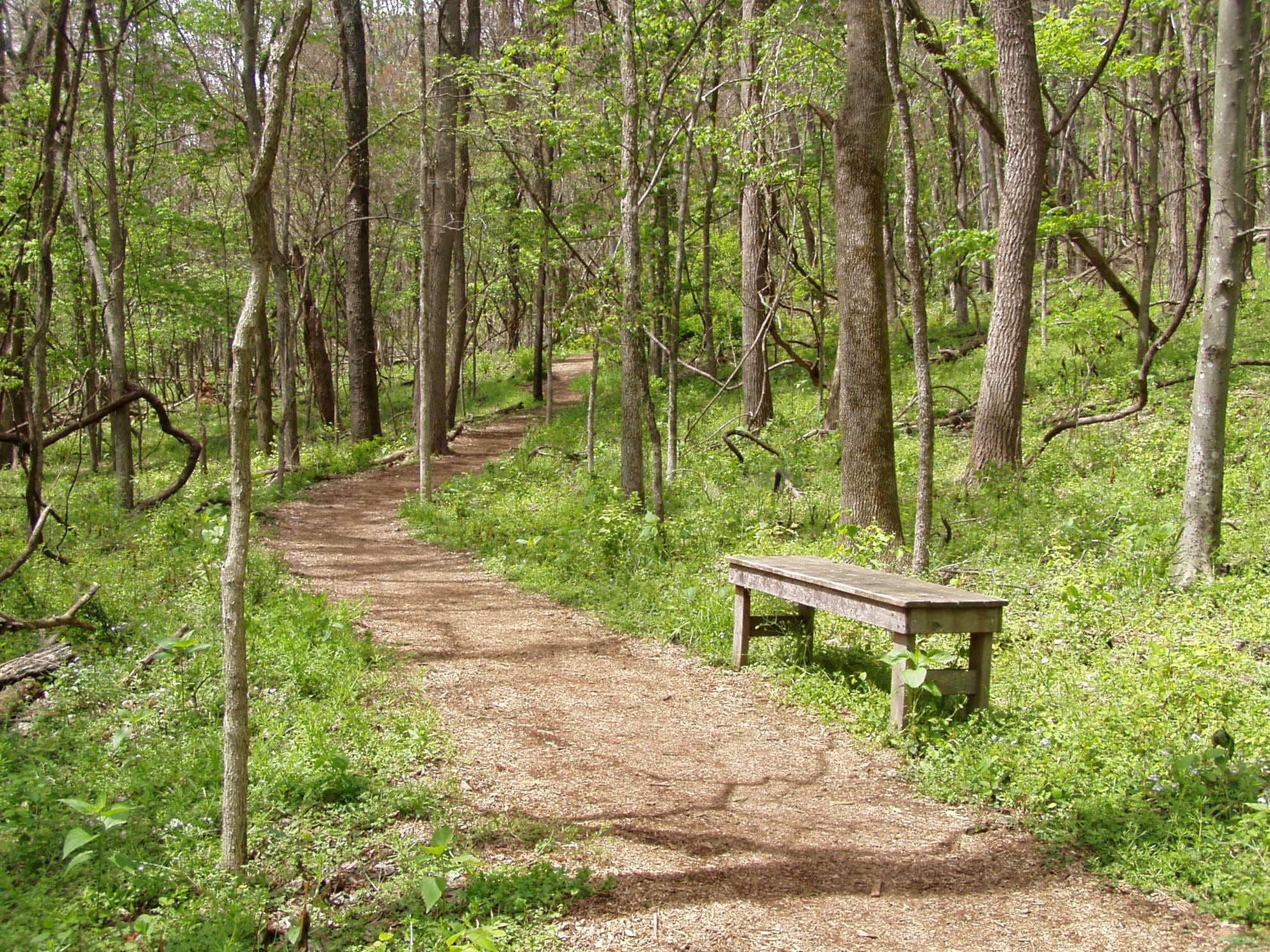 Lake Trail Loop