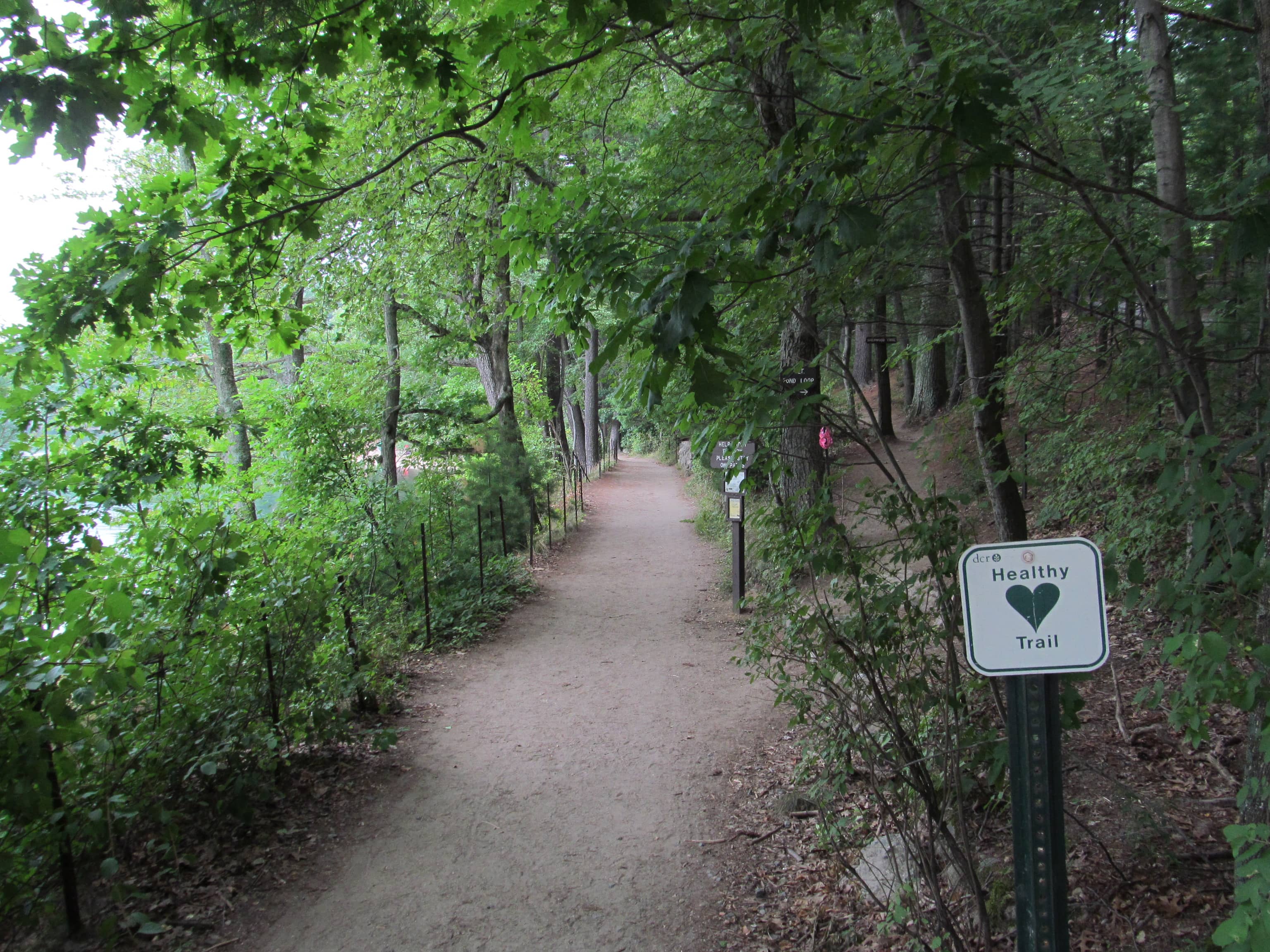 Walden Pond Trail