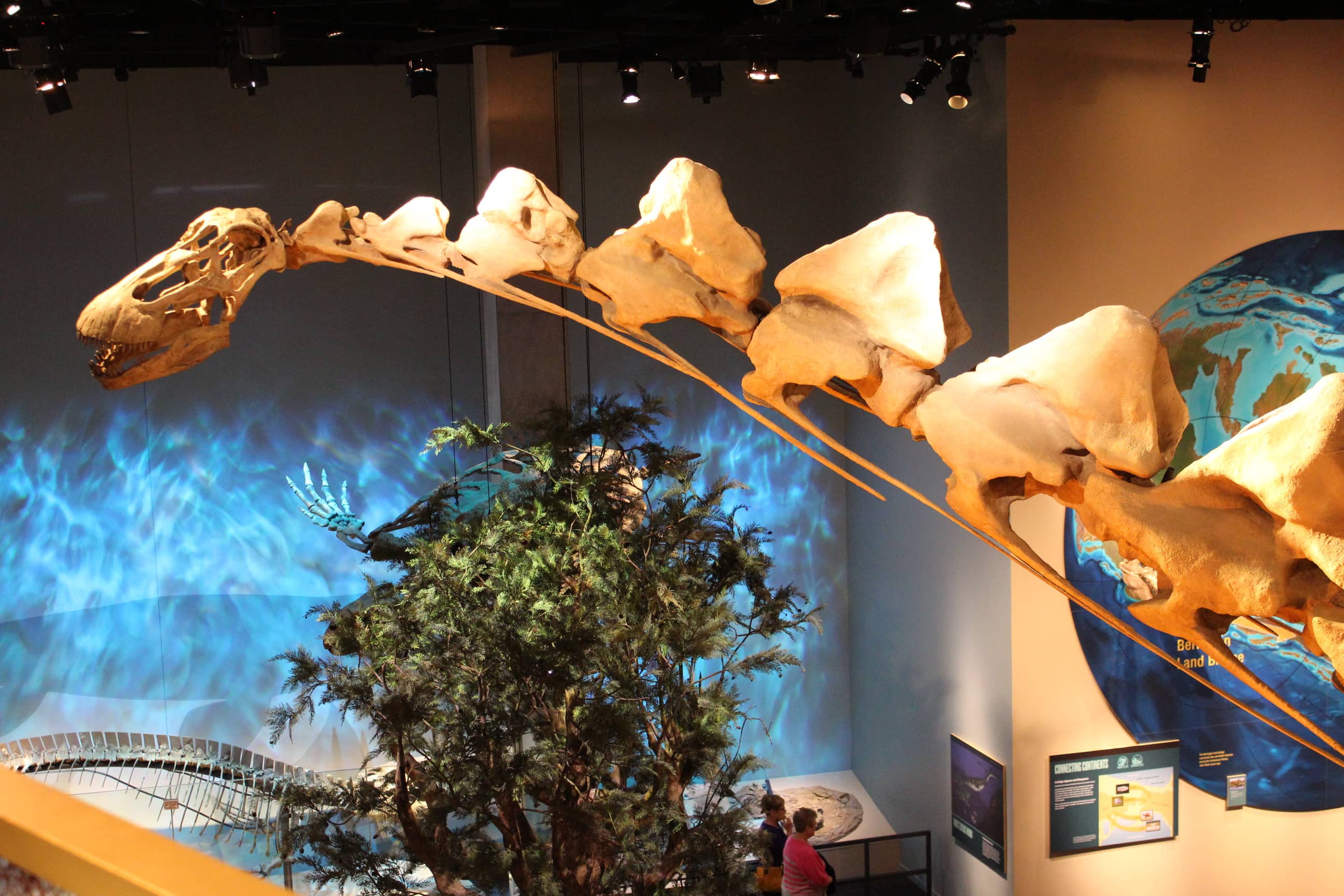 Continent-Specific Displays