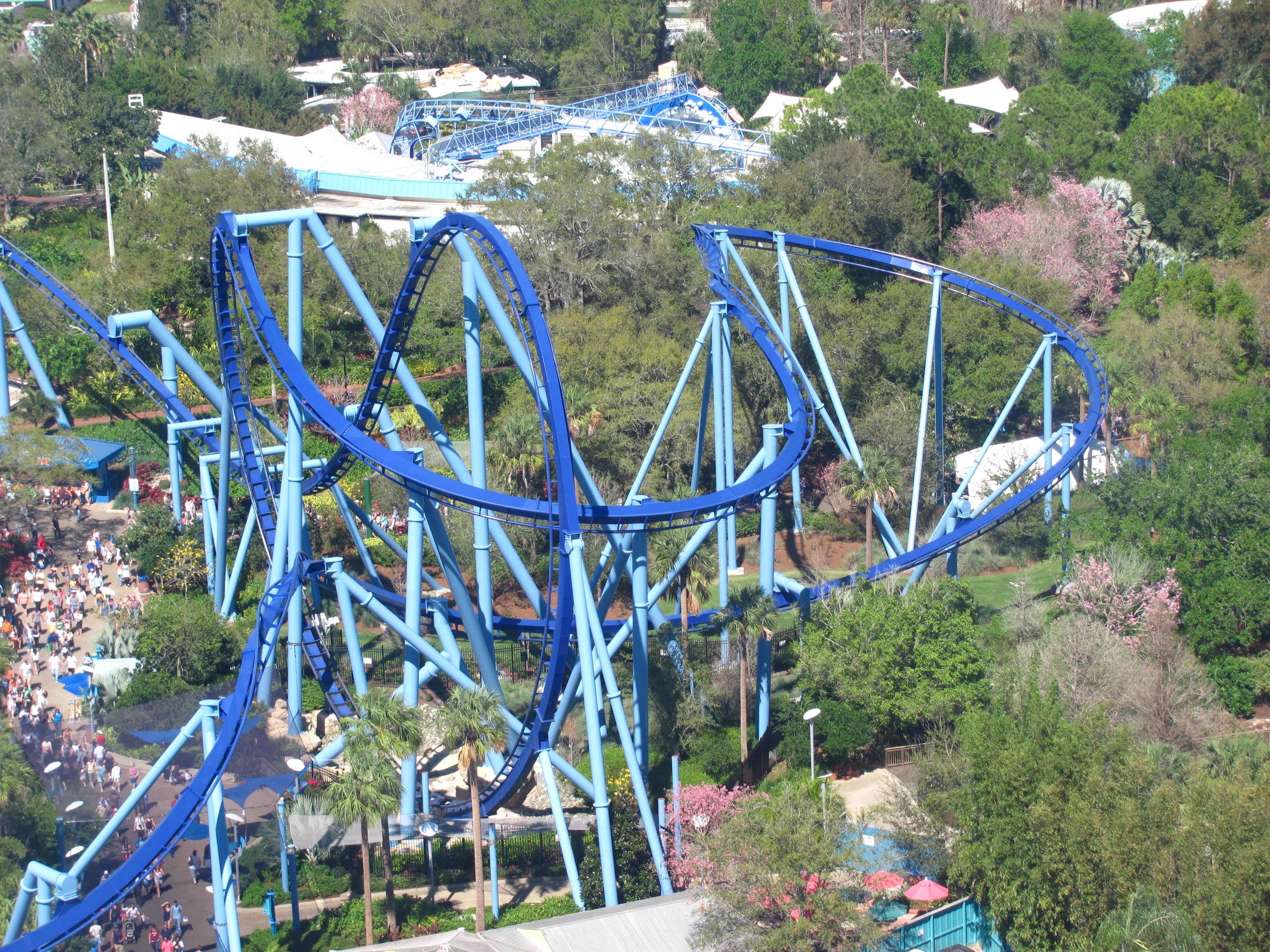 Manta