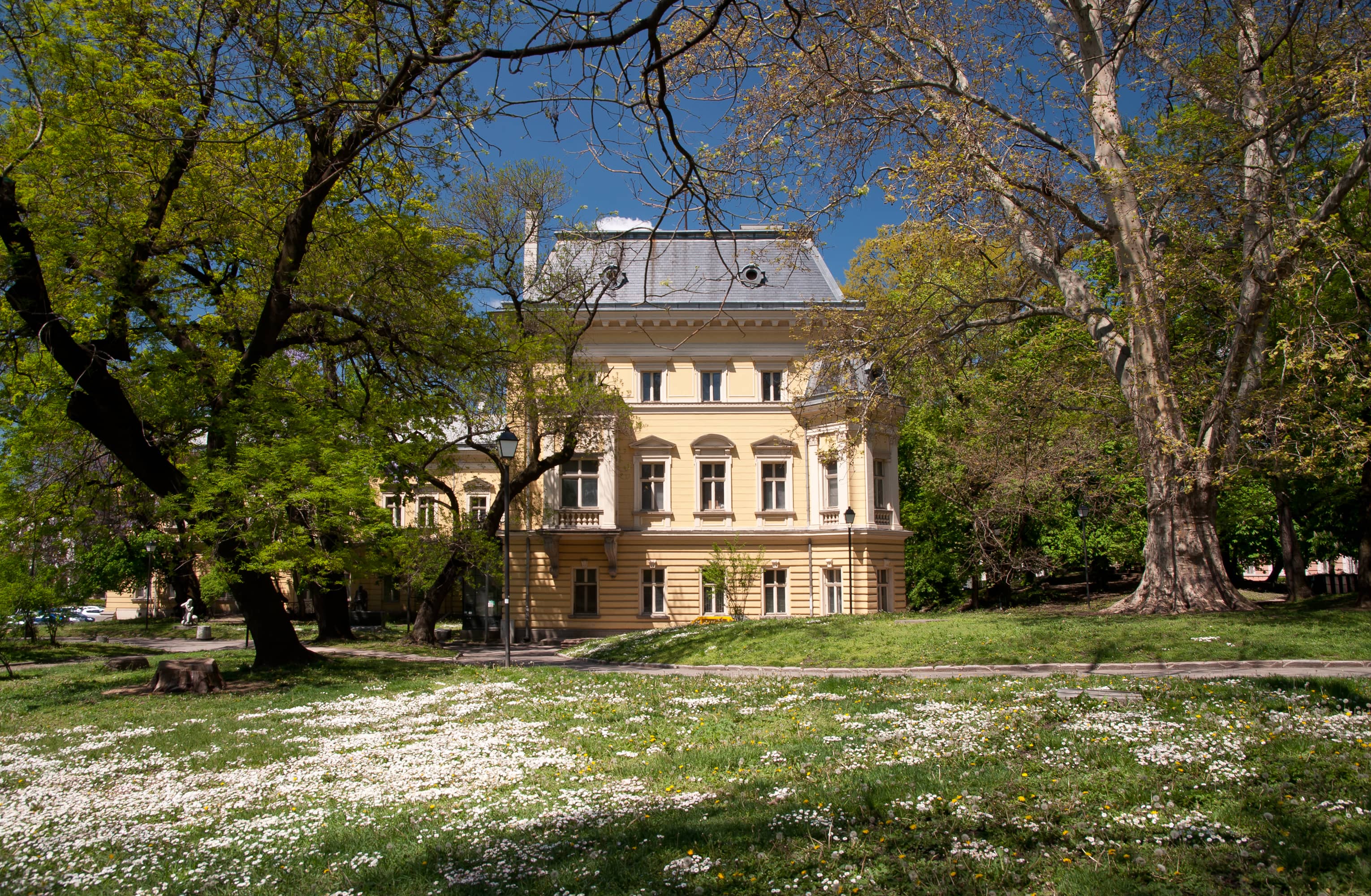 The Royal Palace Itself