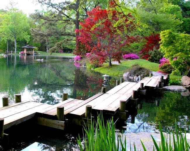 Japanese Garden