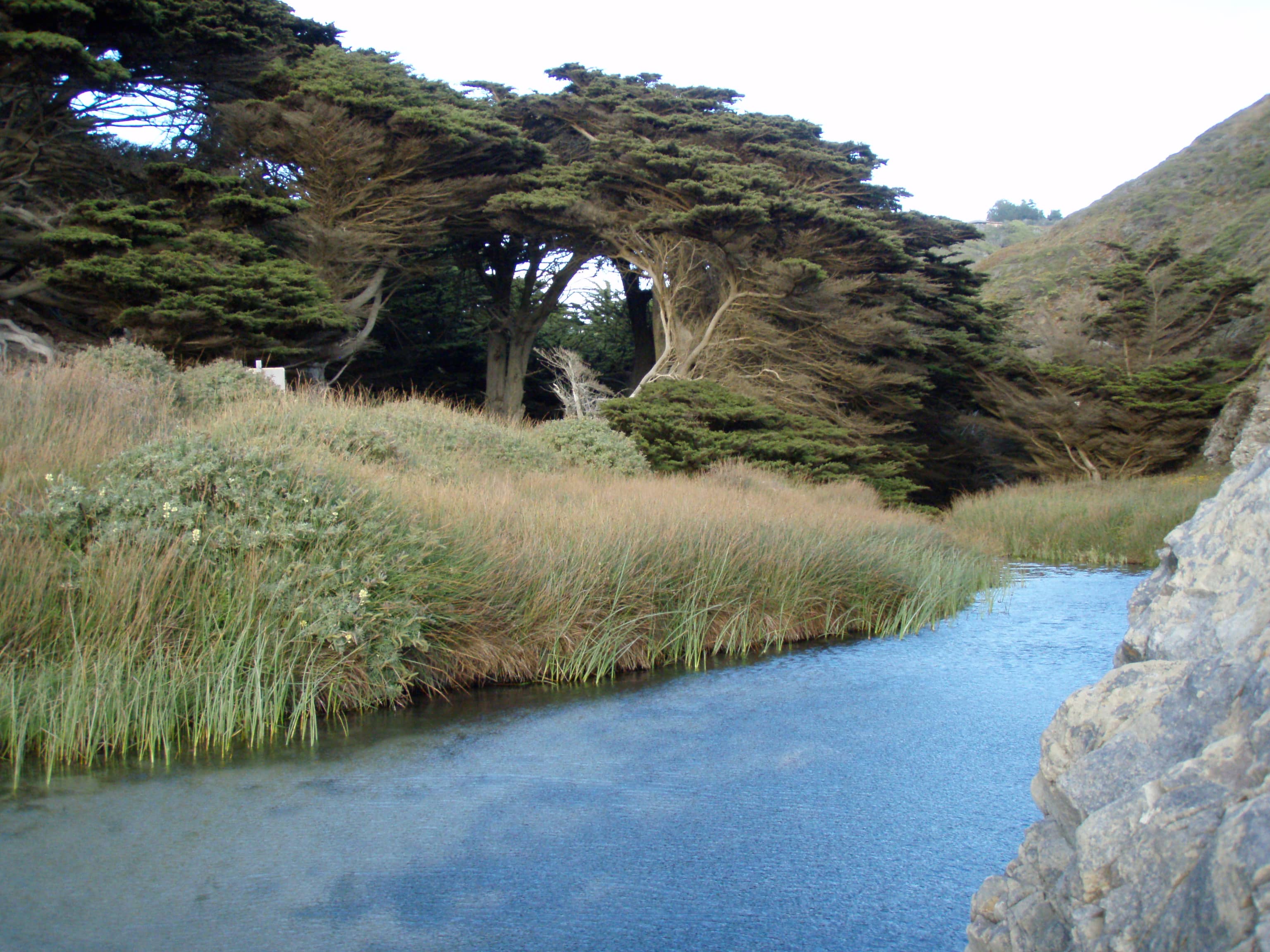 The Gorge at Pfeiffer Big Sur State Park