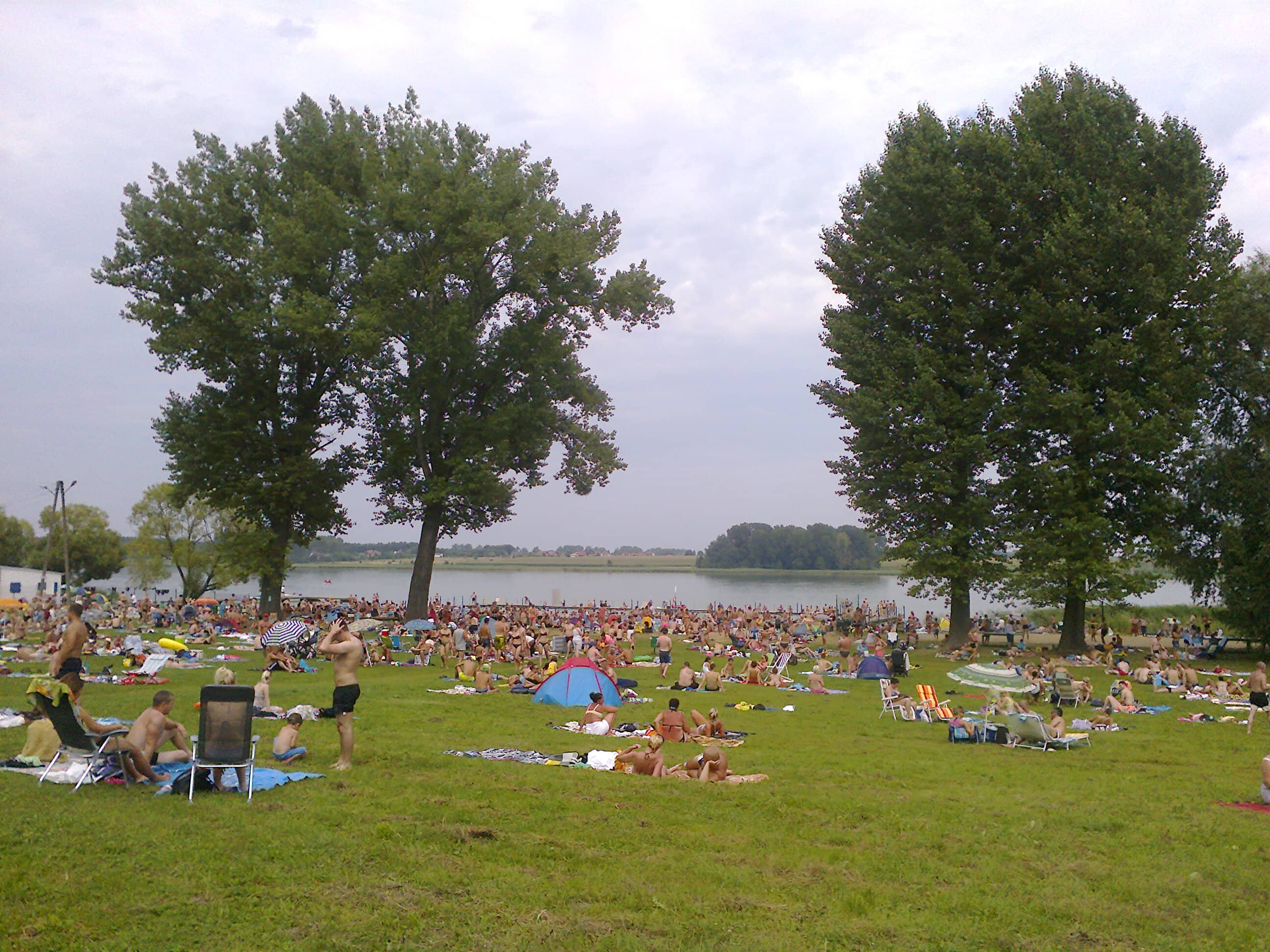 Picnic Paradise