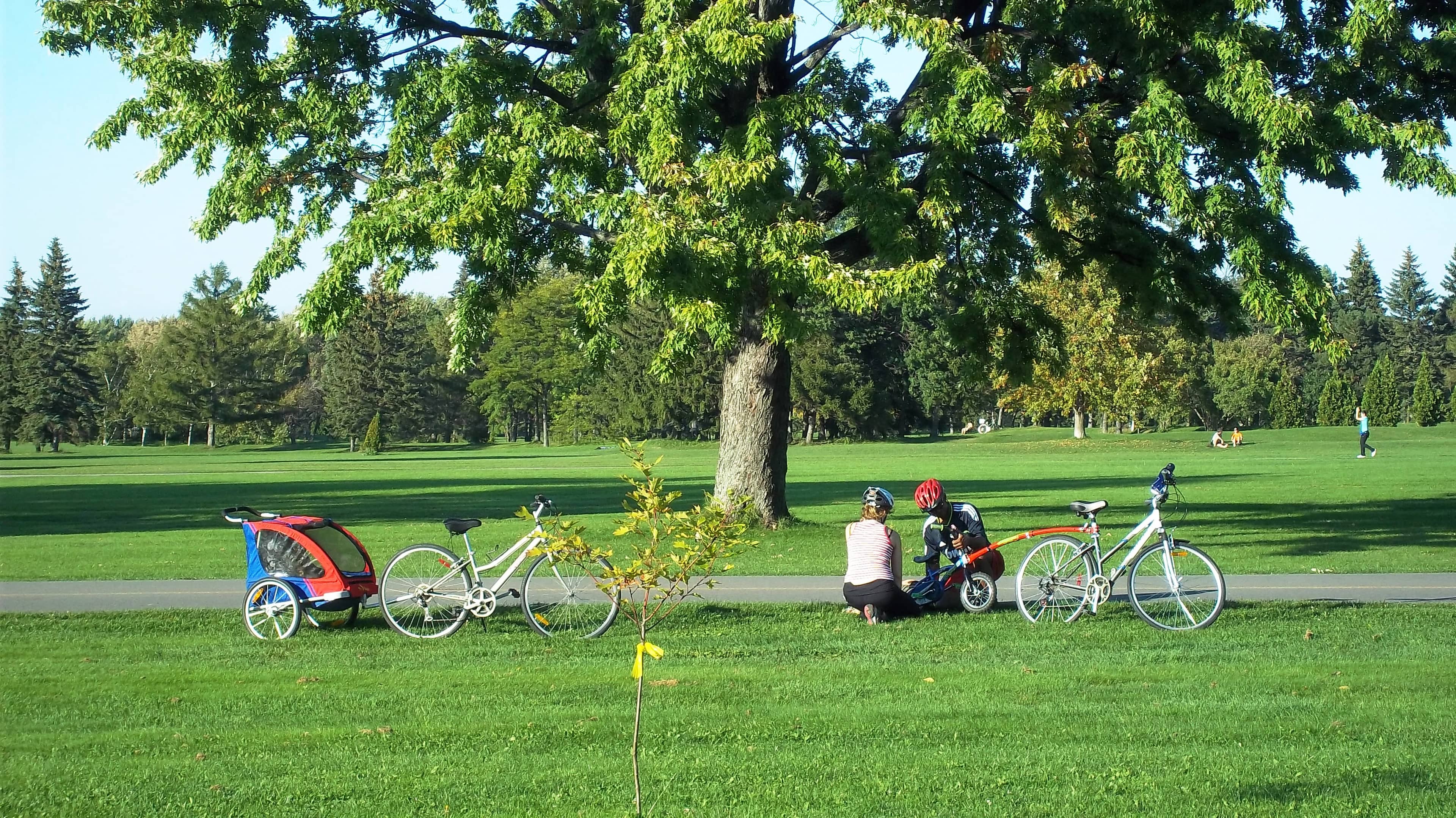 Expansive Green Fields
