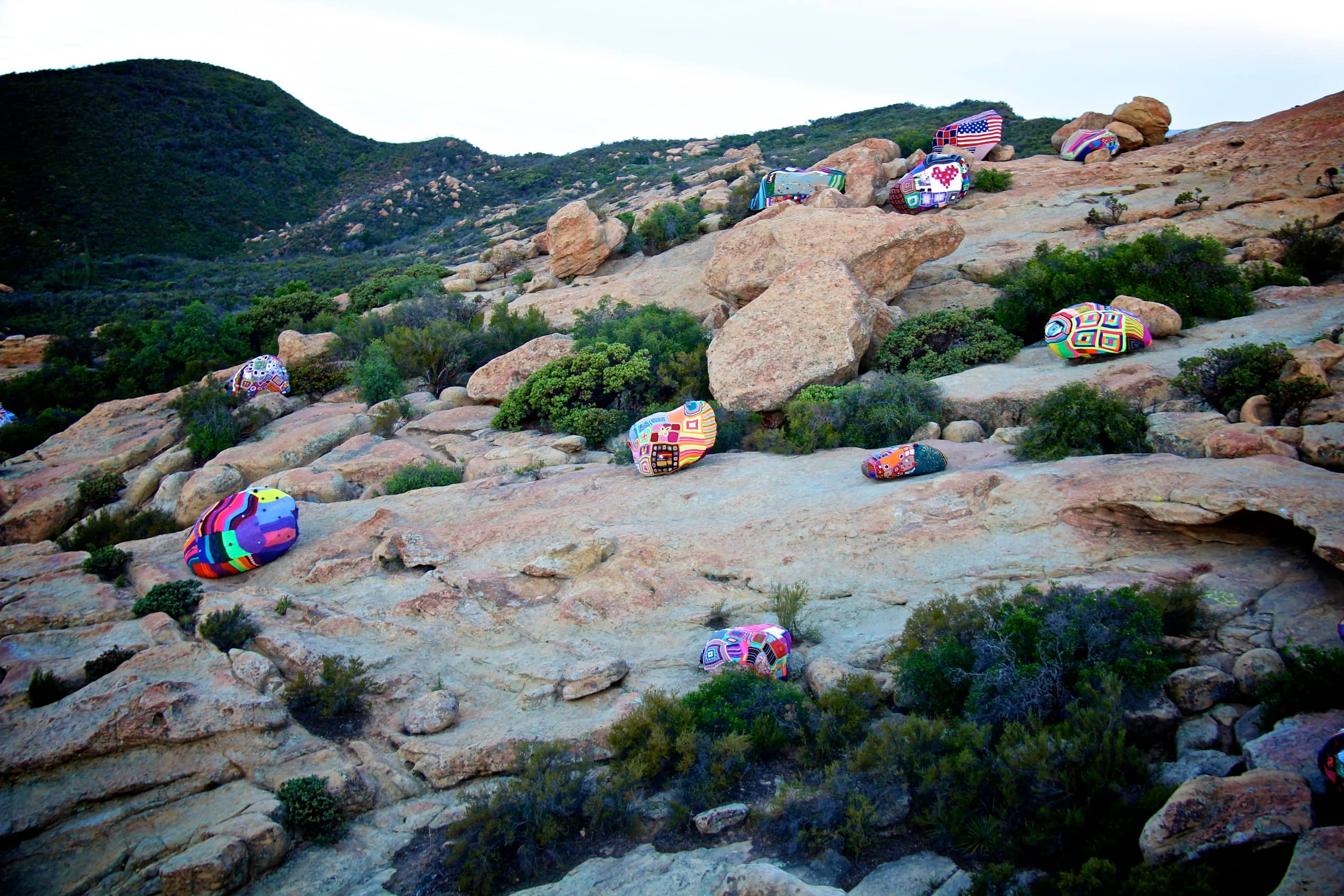 Expansive Views