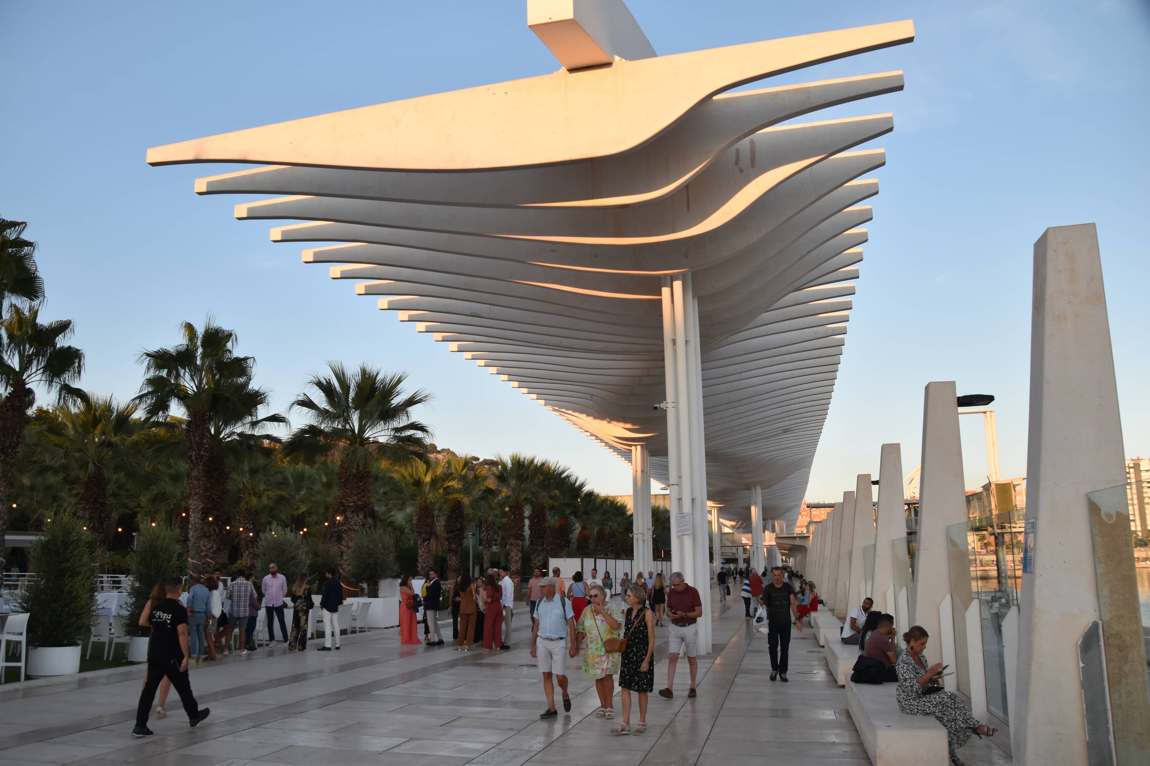 Modern Sculptures