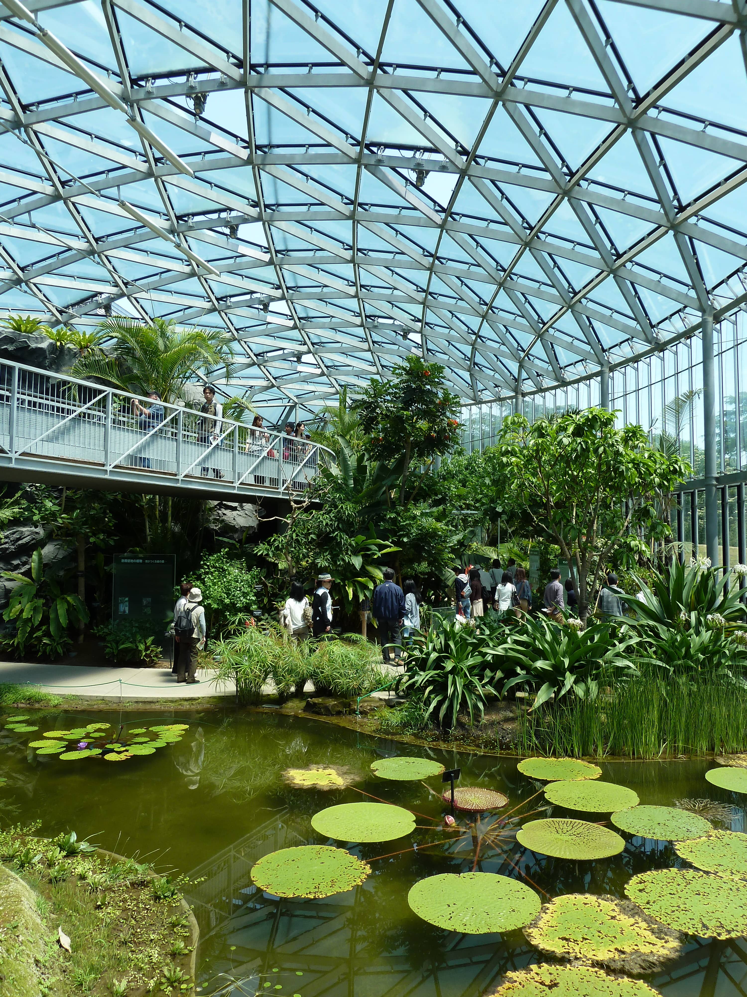 Tropical Greenhouse