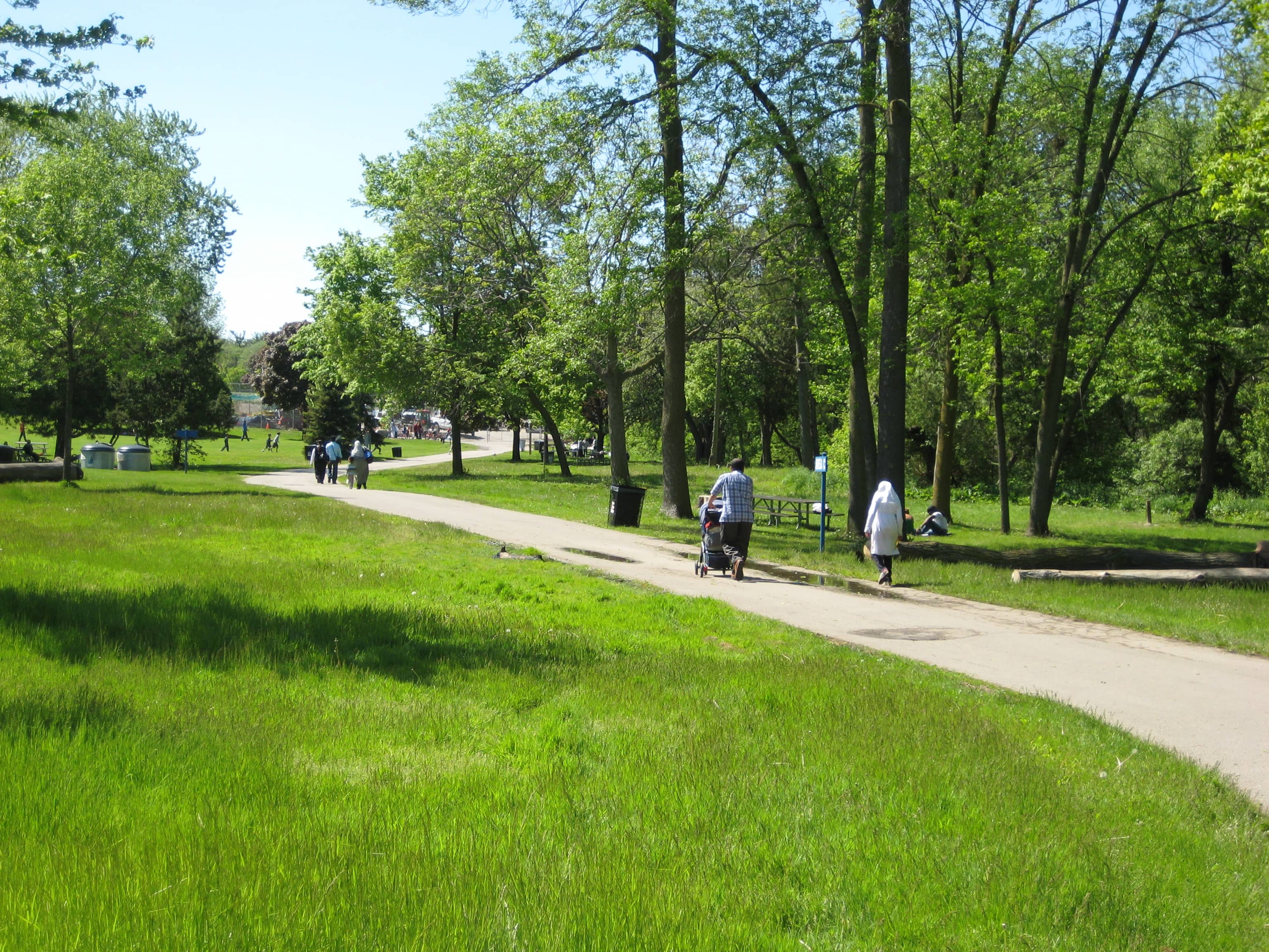 Thompson Park Ambiance