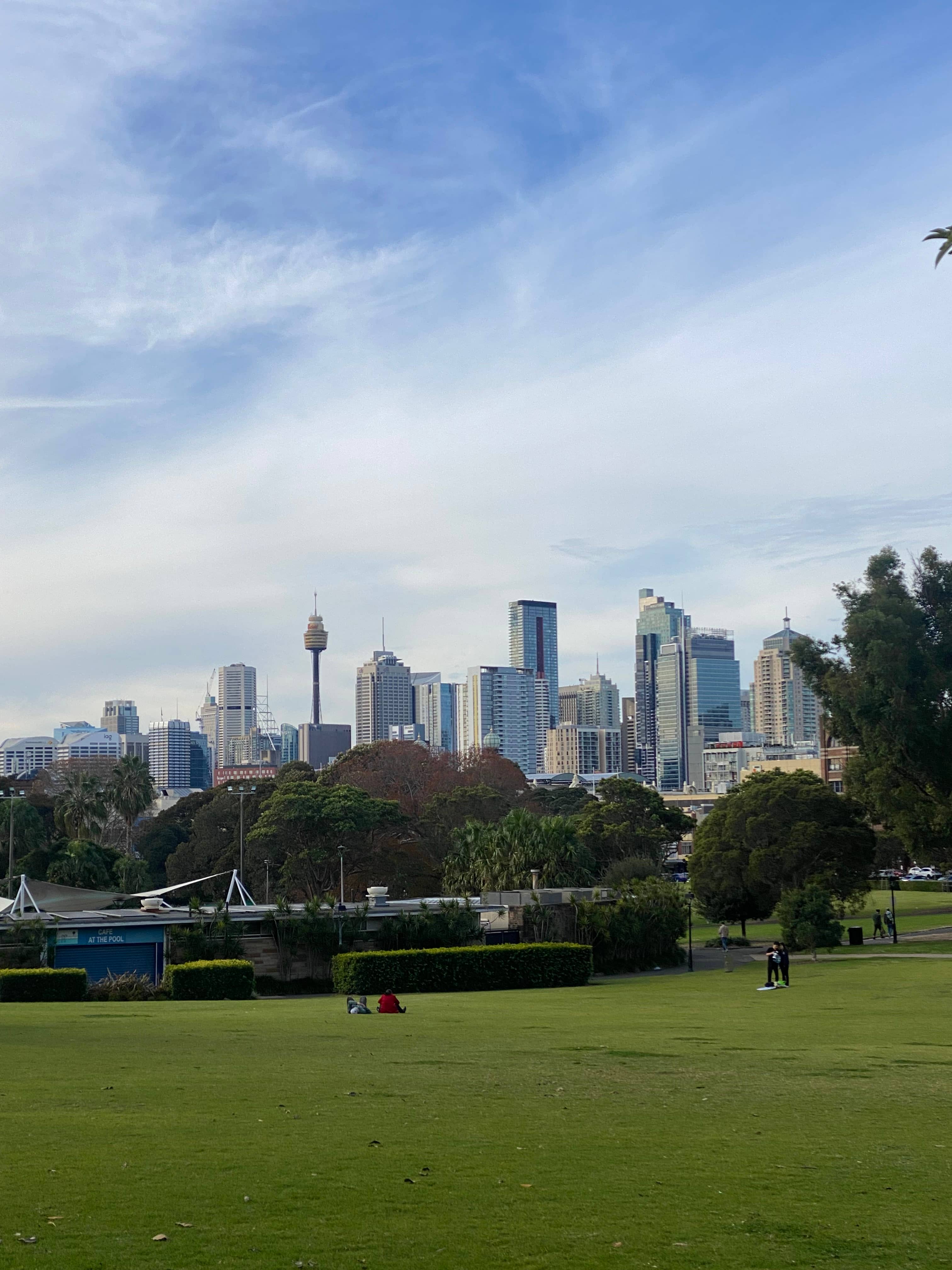 City Skyline Views