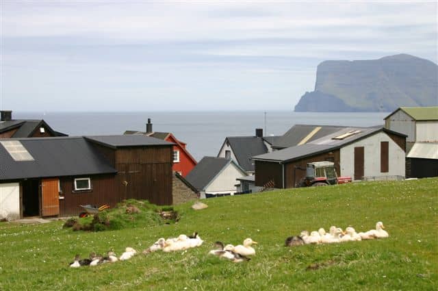 Trøllanes Village