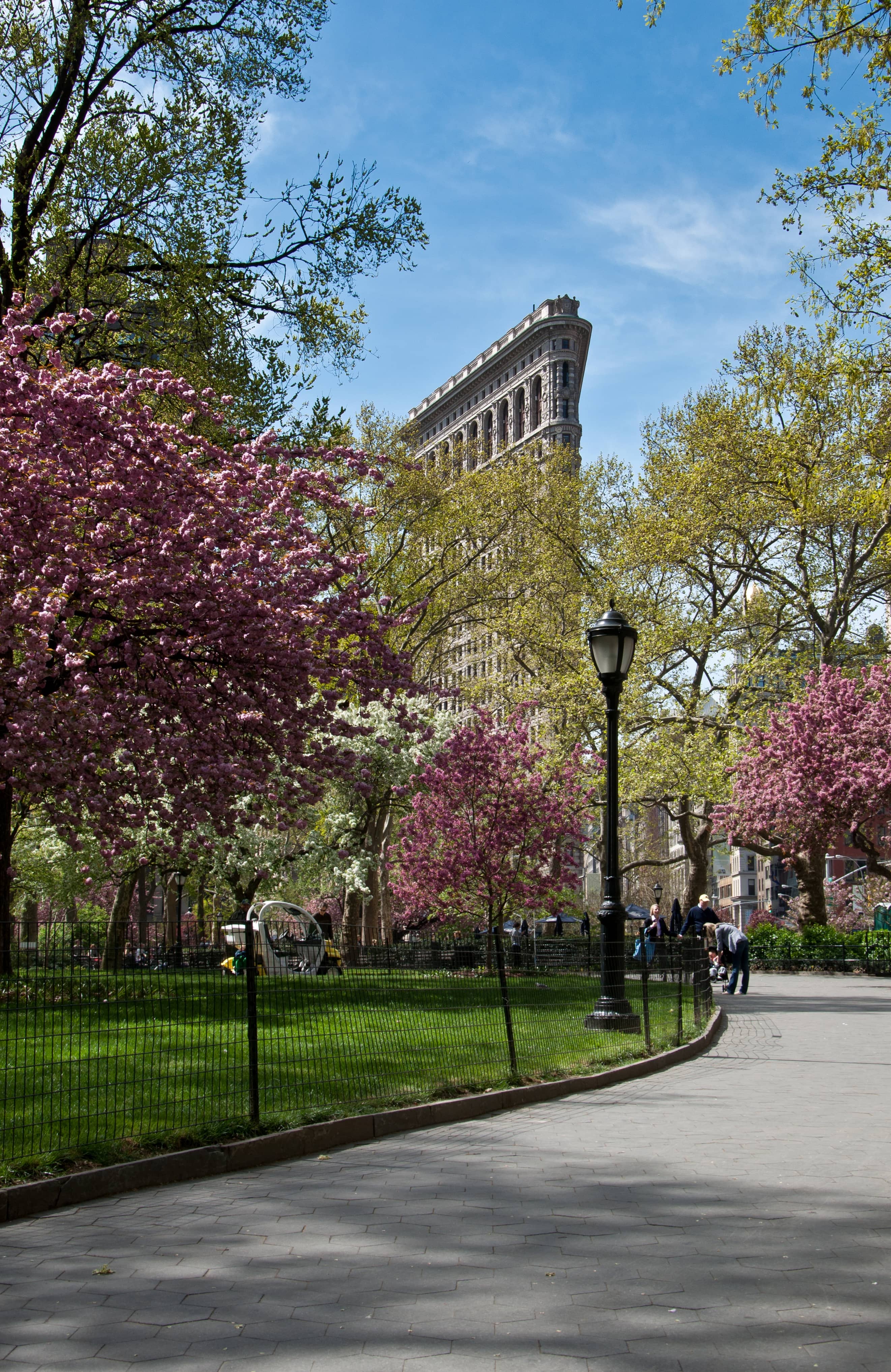 Seasonal Cherry Blossoms