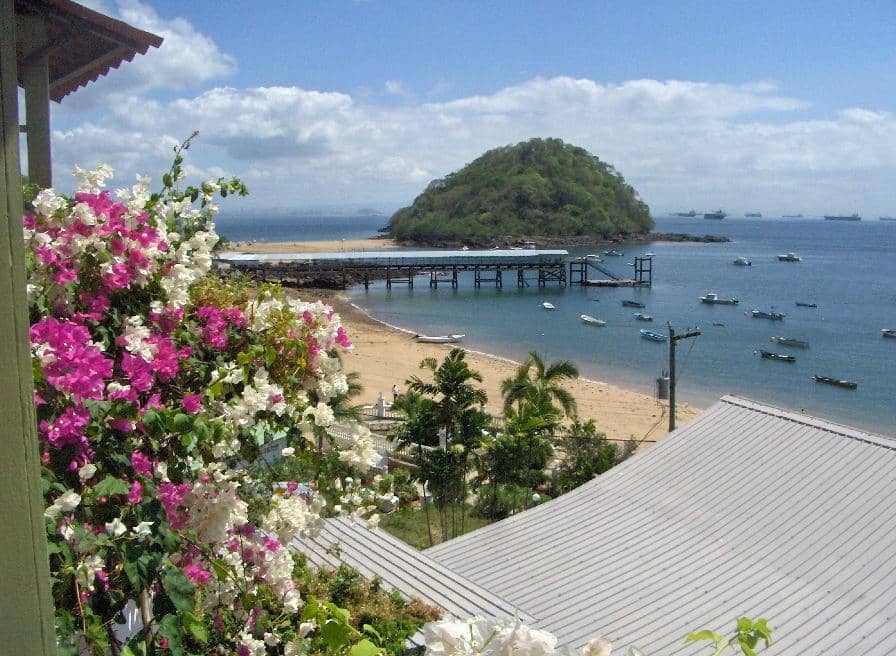 Island Charm & Flowers