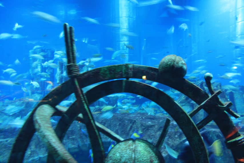 The Lost Chambers Aquarium