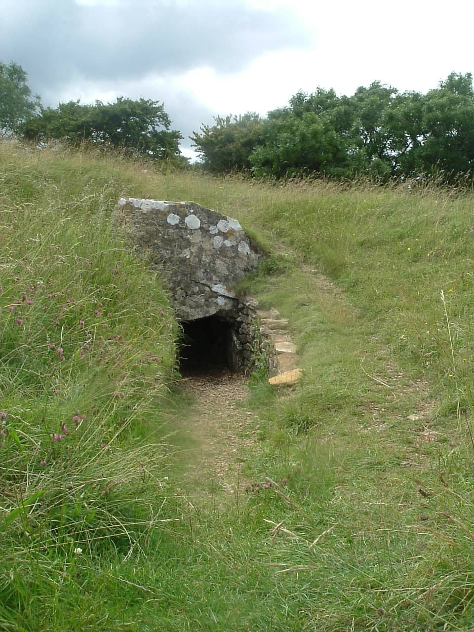 Surrounding Countryside
